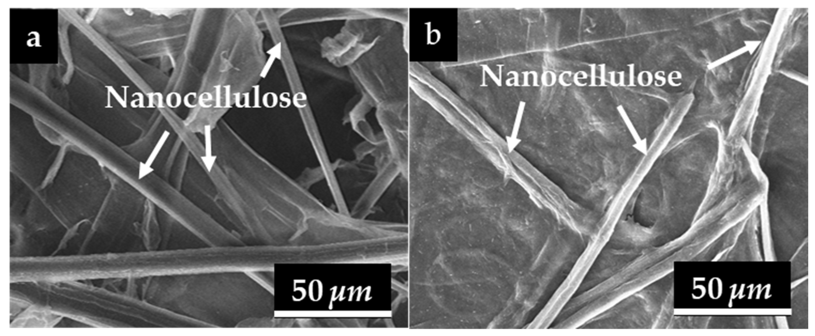Polysaccharides 07 00014 g005 Polysaccharides 07 00014 g005