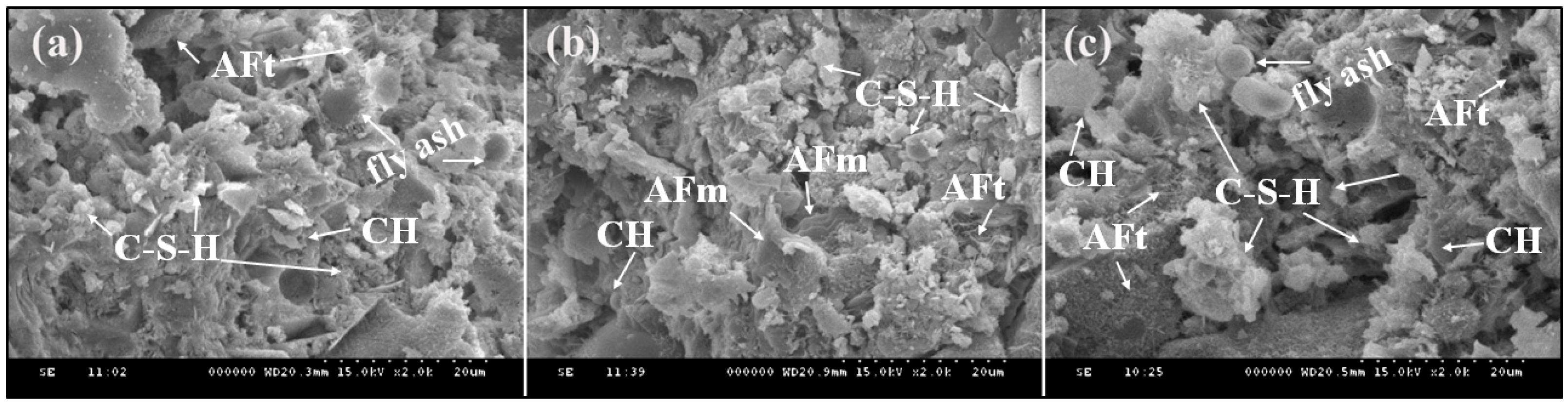 Polysaccharides 07 00017 g006