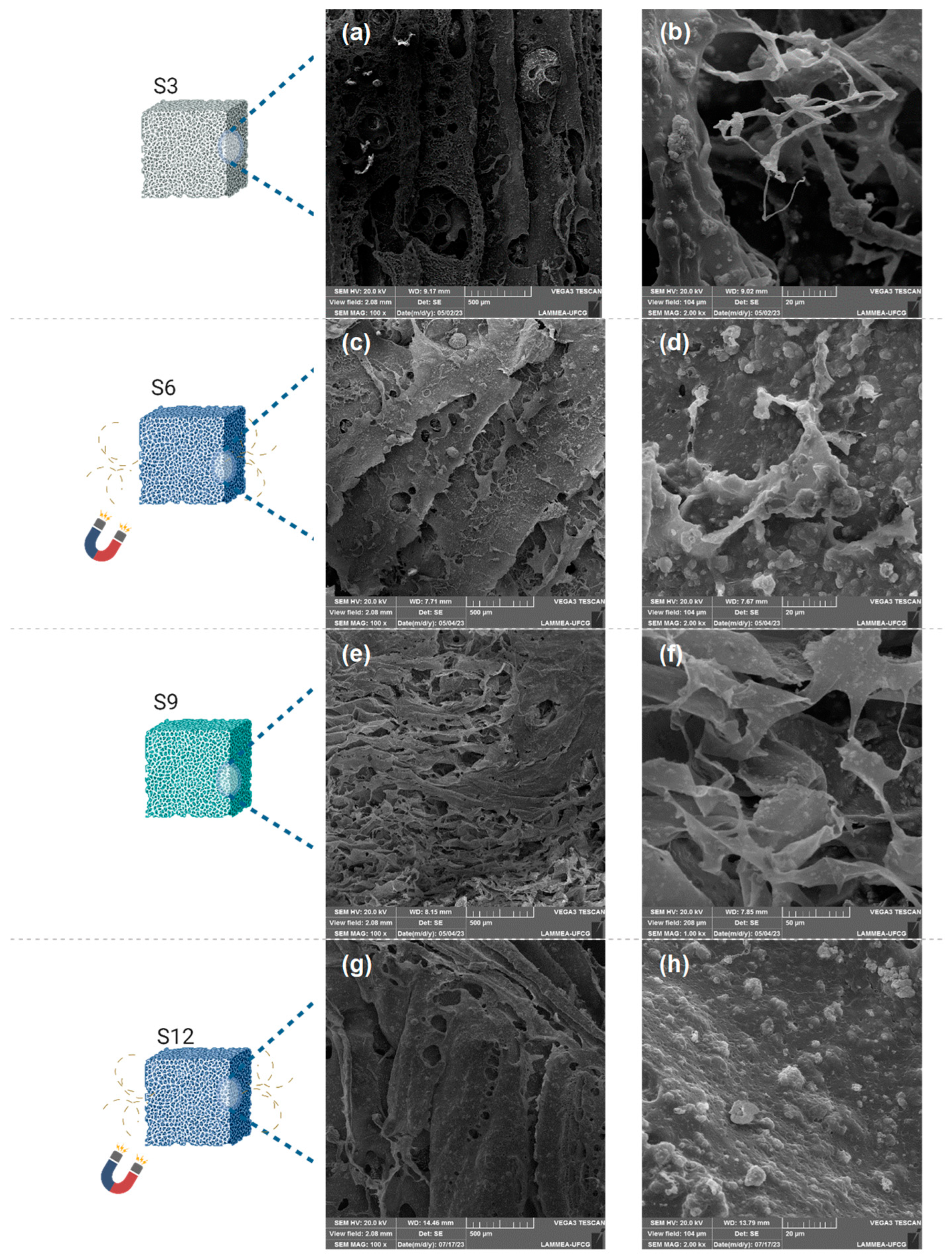 Polysaccharides 07 00022 g006 Polysaccharides 07 00022 g006