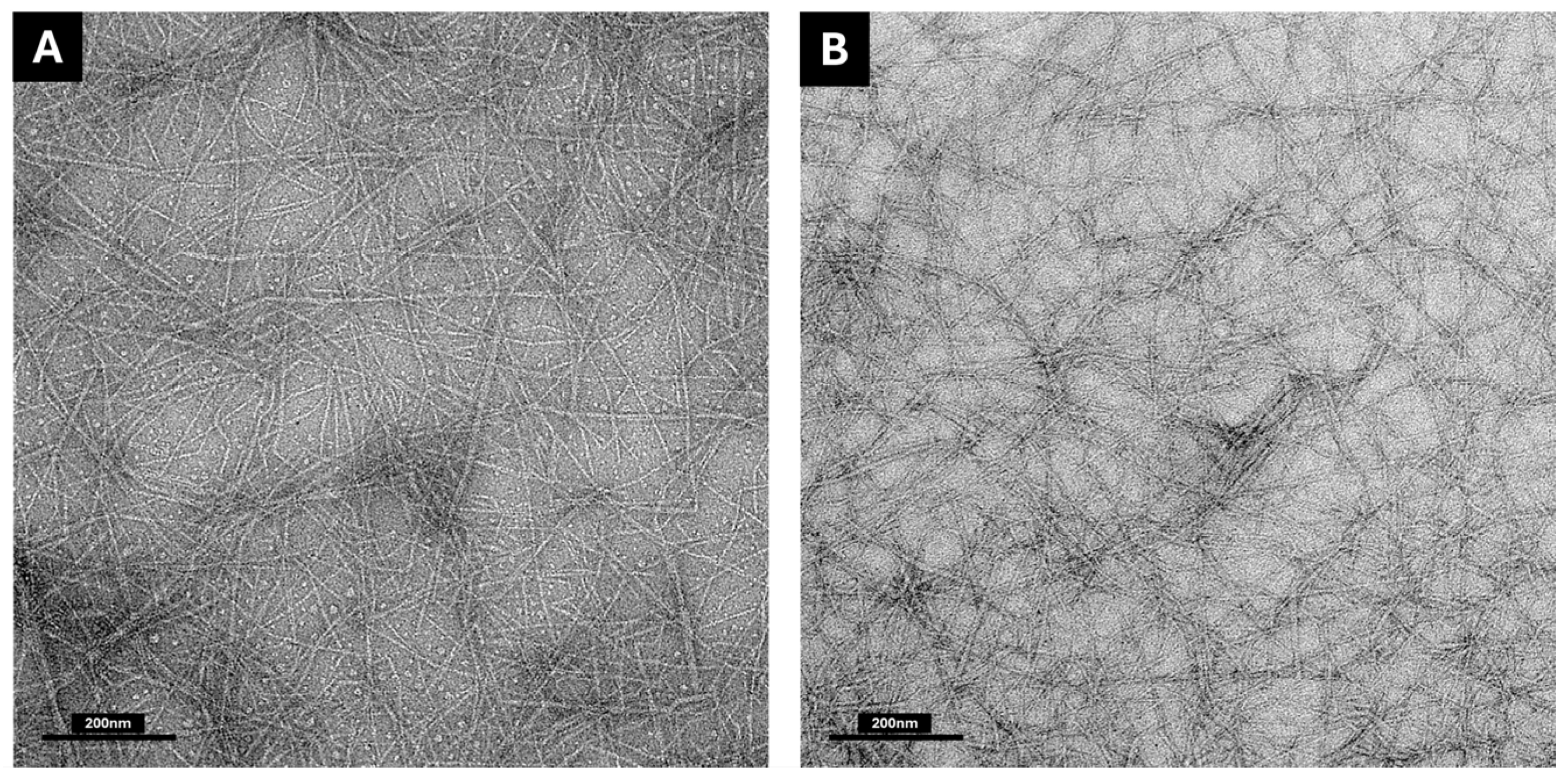 Polysaccharides 07 00035 g002 Polysaccharides 07 00035 g002