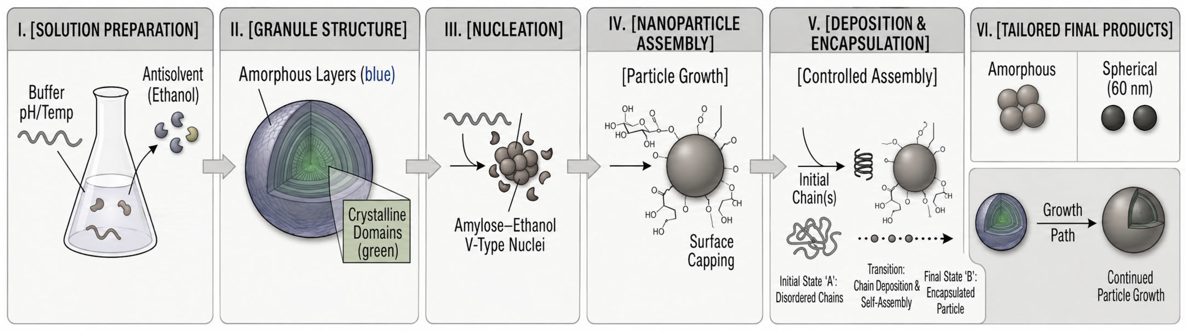 Polysaccharides 07 00075 g005
