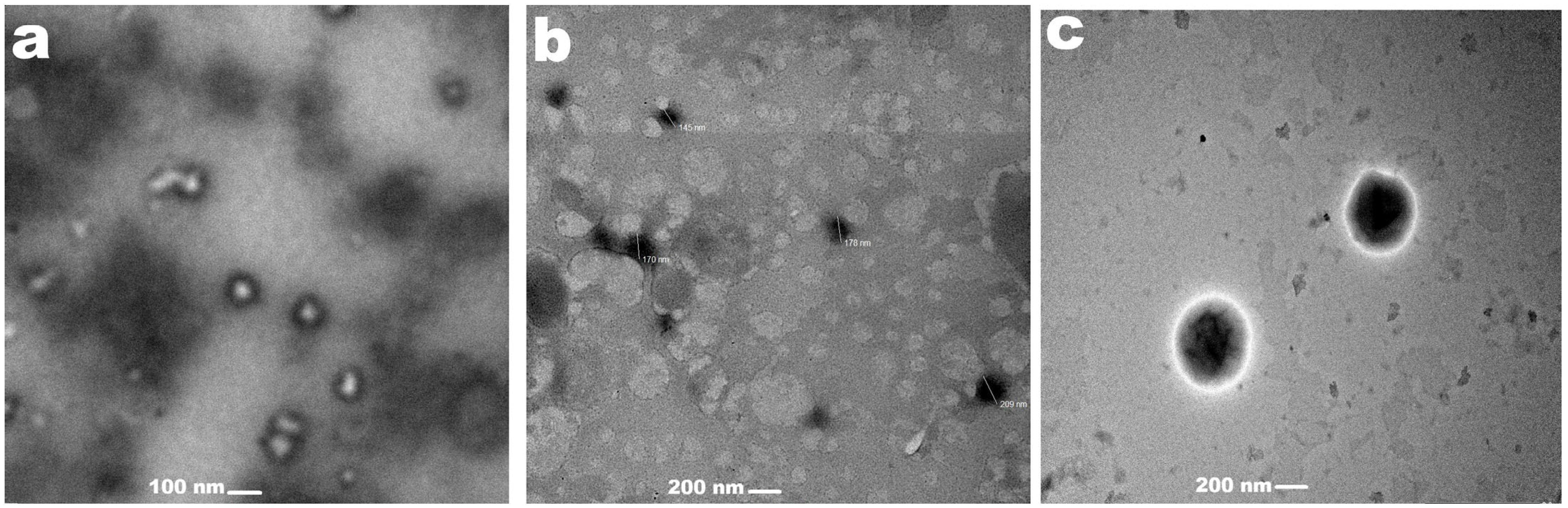 Polysaccharides 07 00078 g001