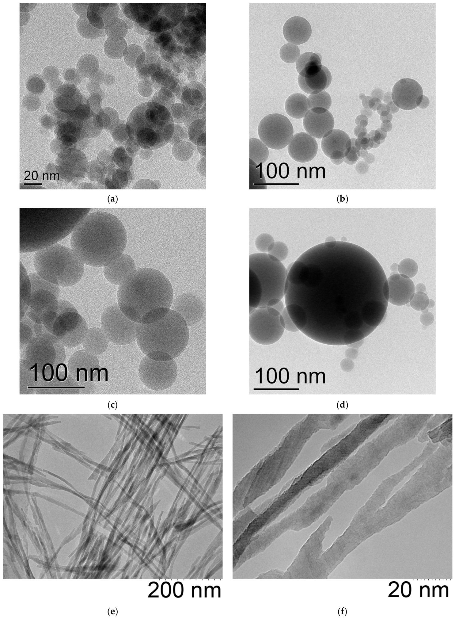 Polysaccharides 07 00083 g001 Polysaccharides 07 00083 g001