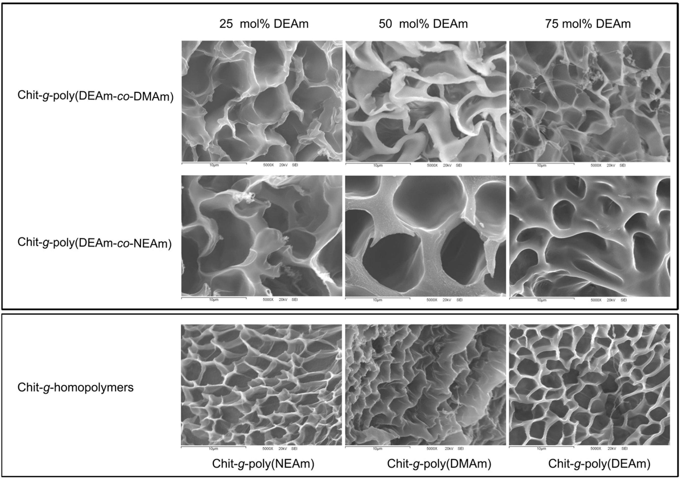 Polysaccharides 07 00088 g008 Polysaccharides 07 00088 g008