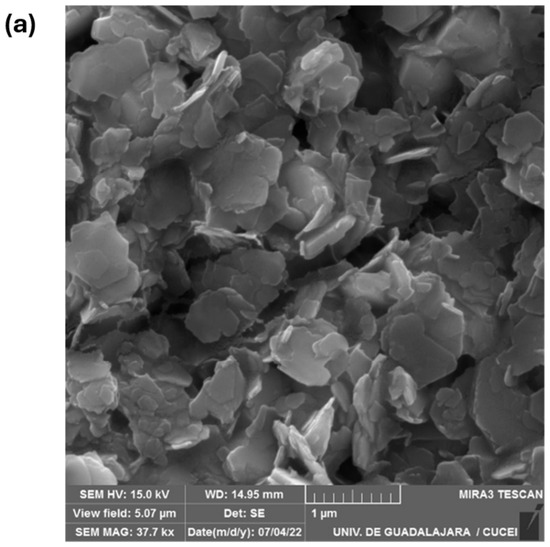 Polysaccharides 07 00091 g001a Polysaccharides 07 00091 g001a