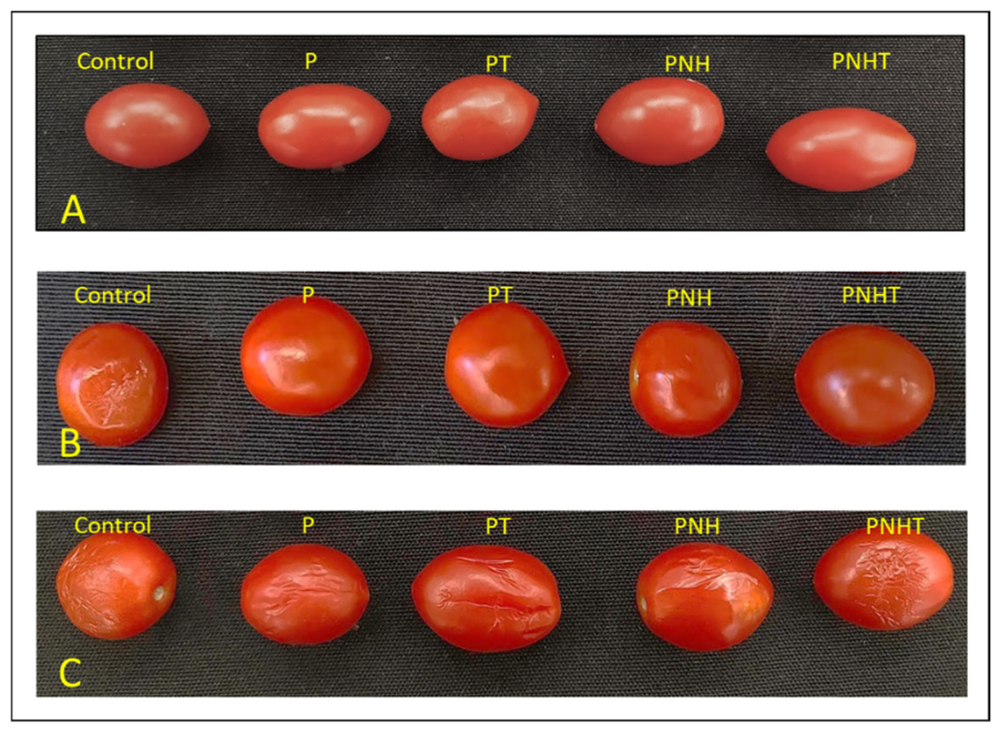 Polysaccharides 07 00091 g006 Polysaccharides 07 00091 g006