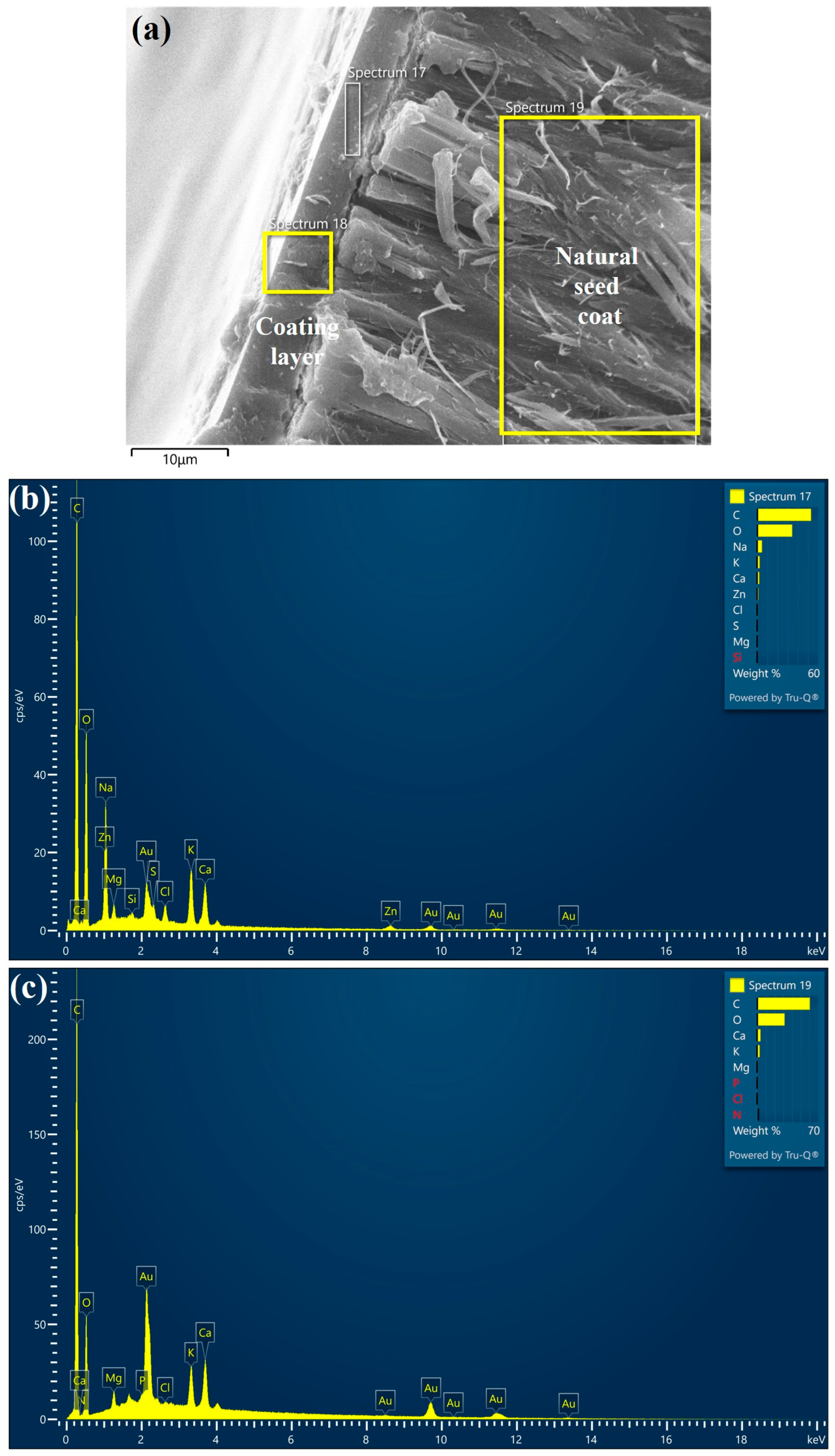 Polysaccharides 07 00100 g010 Polysaccharides 07 00100 g010