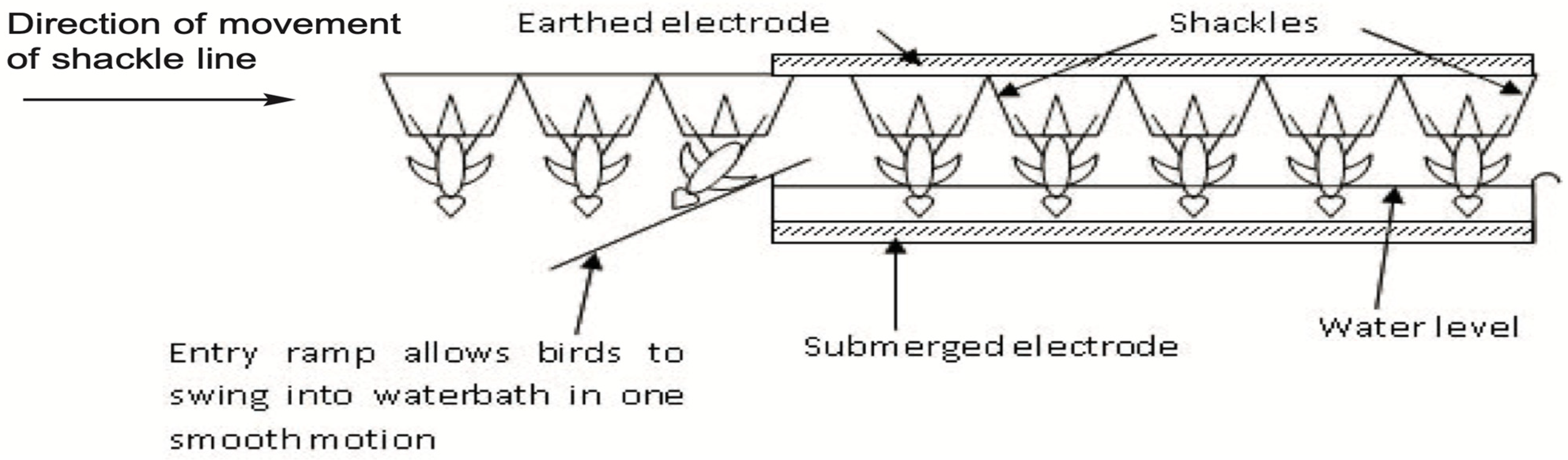 Poultry 02 00010 g002