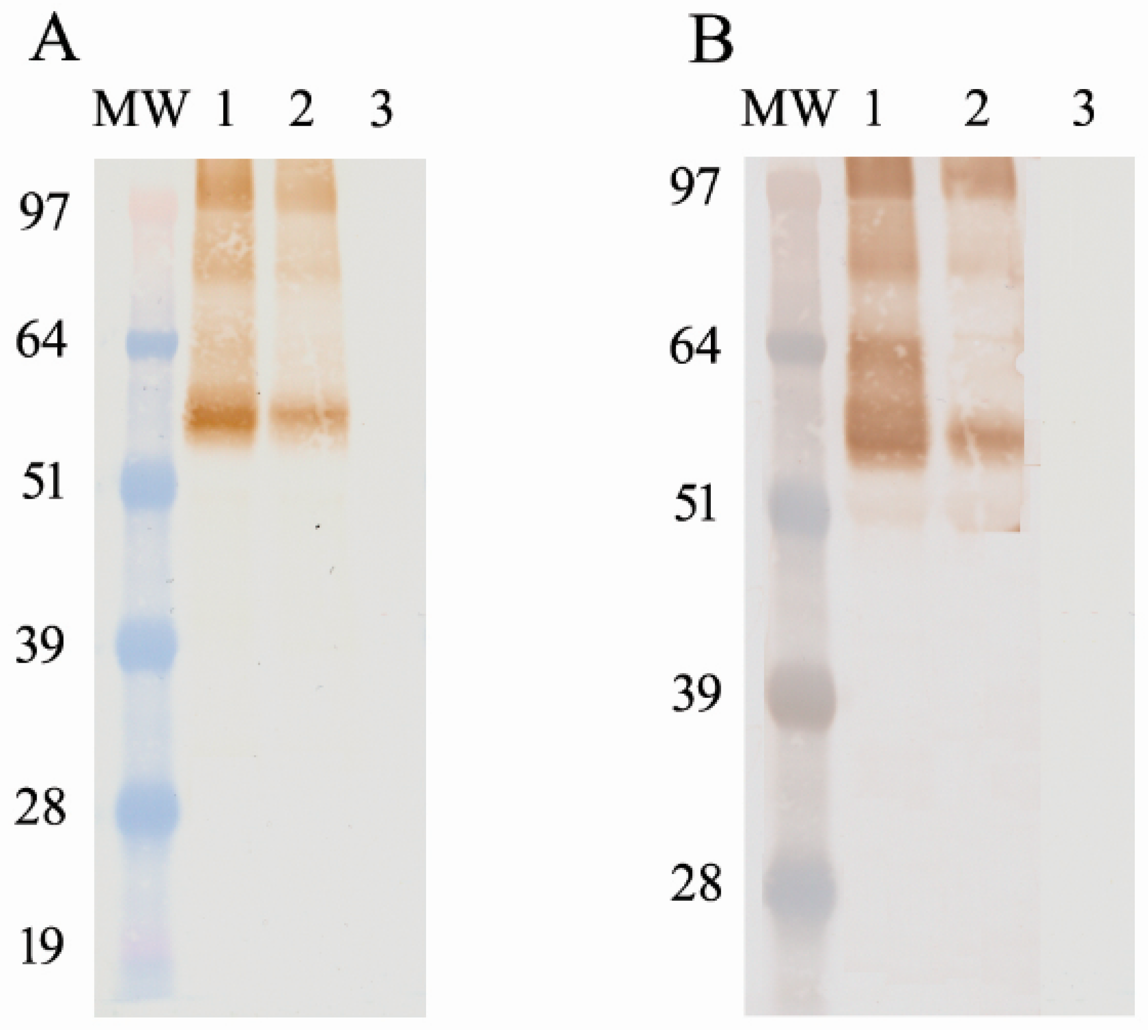 Poultry 02 00026 g001