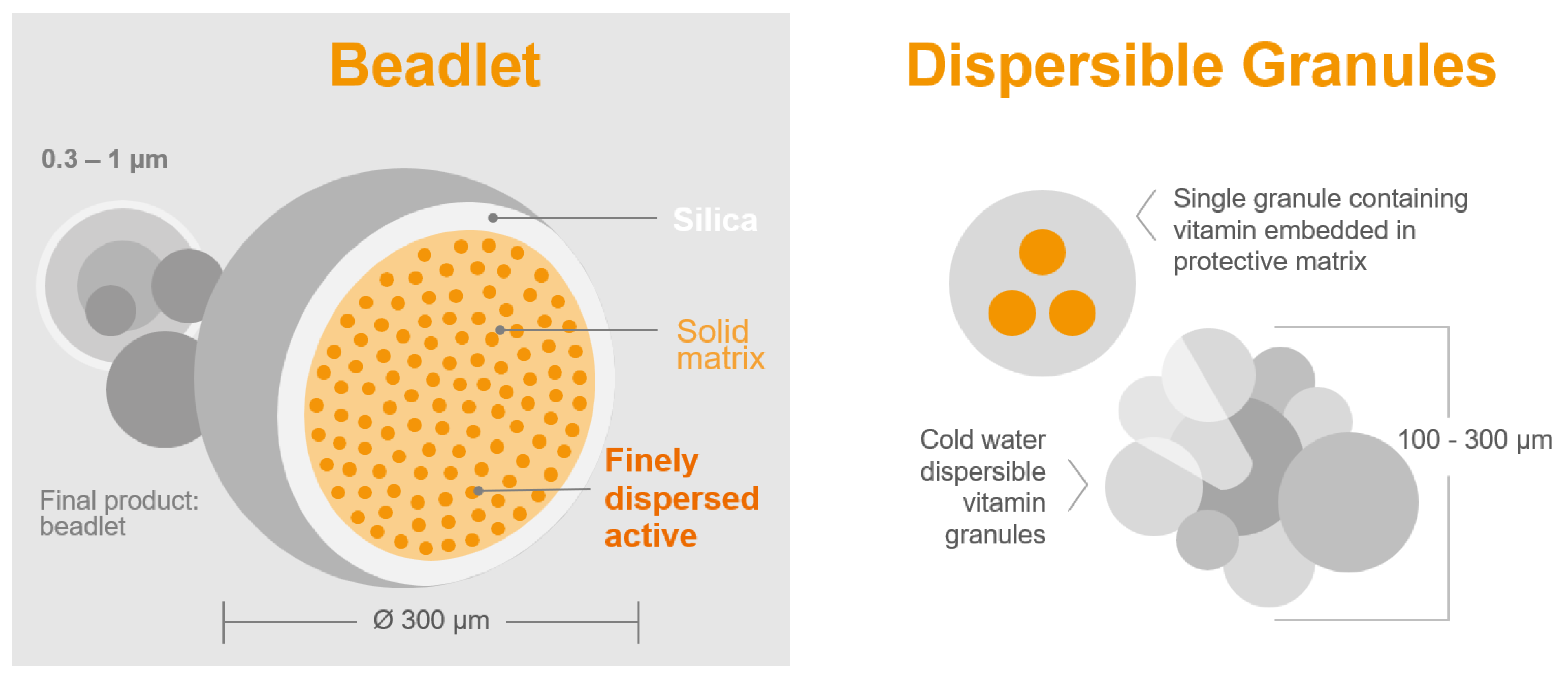 Poultry 02 00037 g002