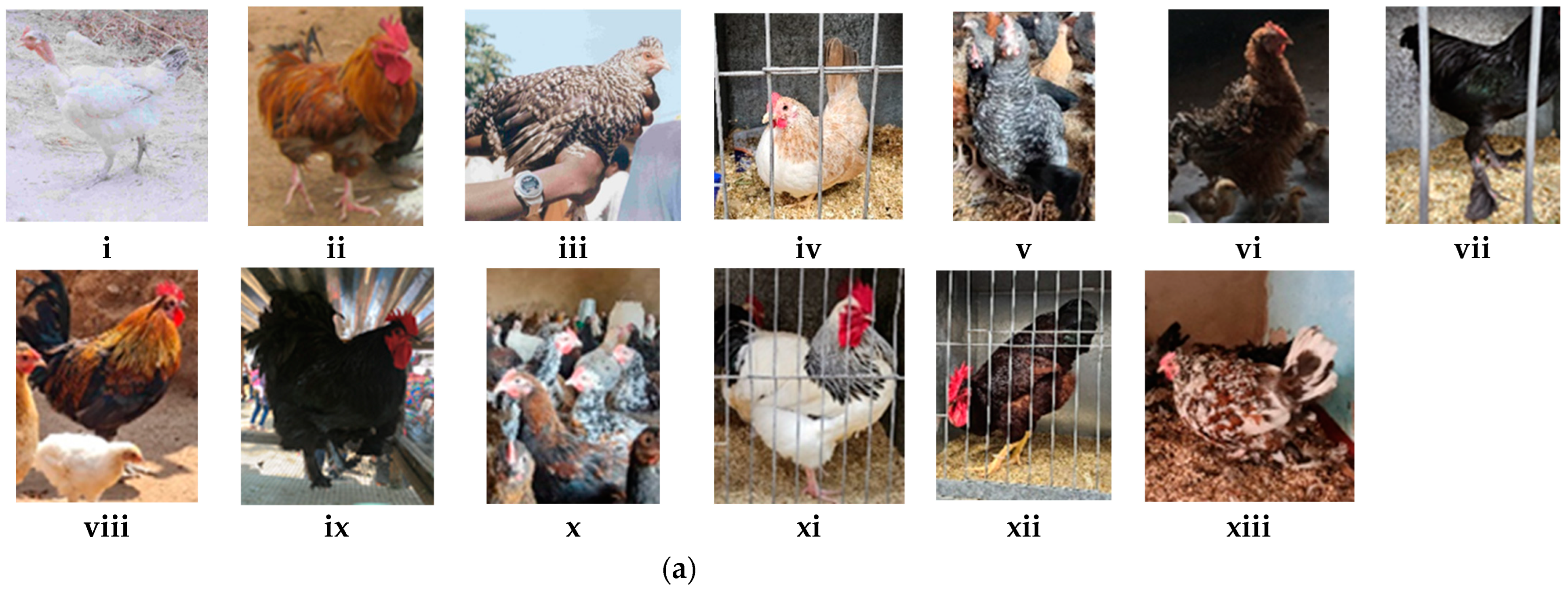 Poultry 03 00013 g001a