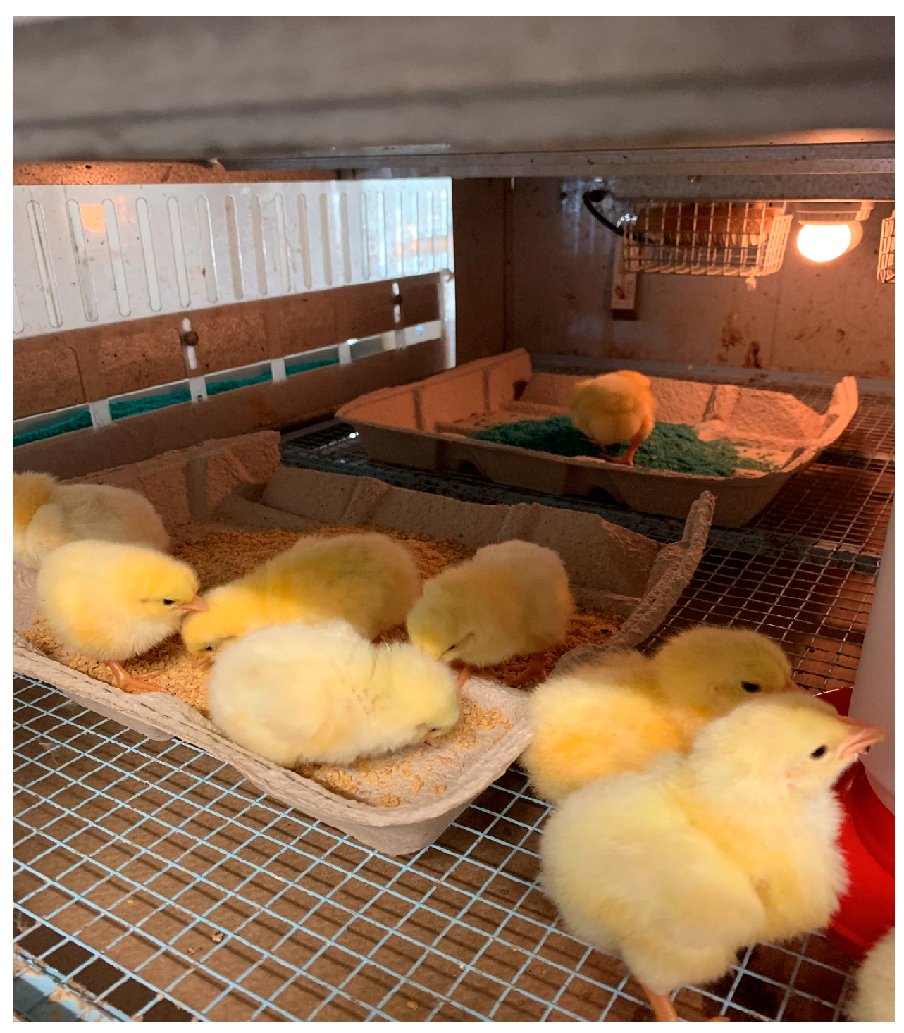 Poultry 04 00002 g002