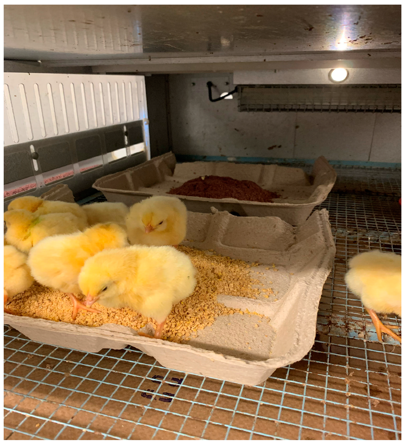 Poultry 04 00002 g003