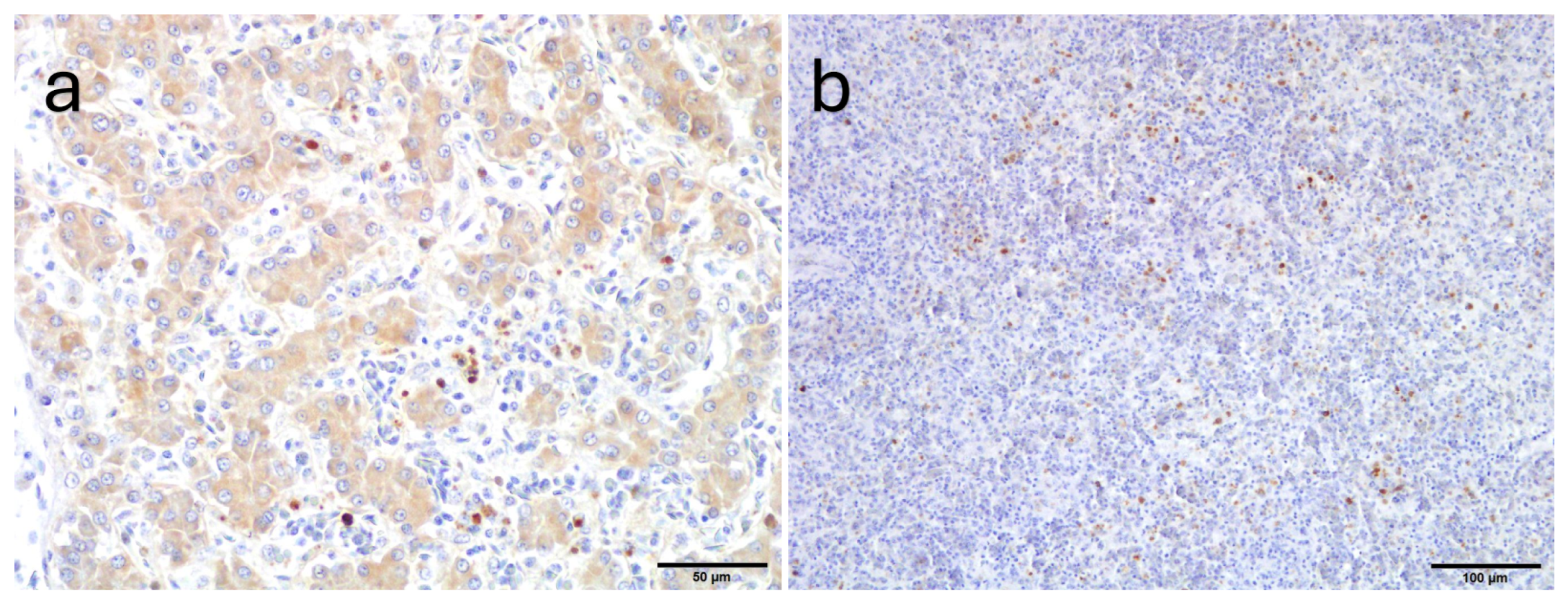 Poultry 04 00016 g003