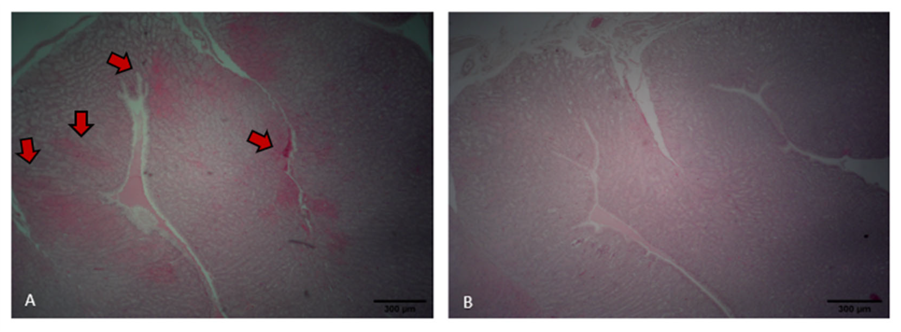 Poultry 04 00035 g007
