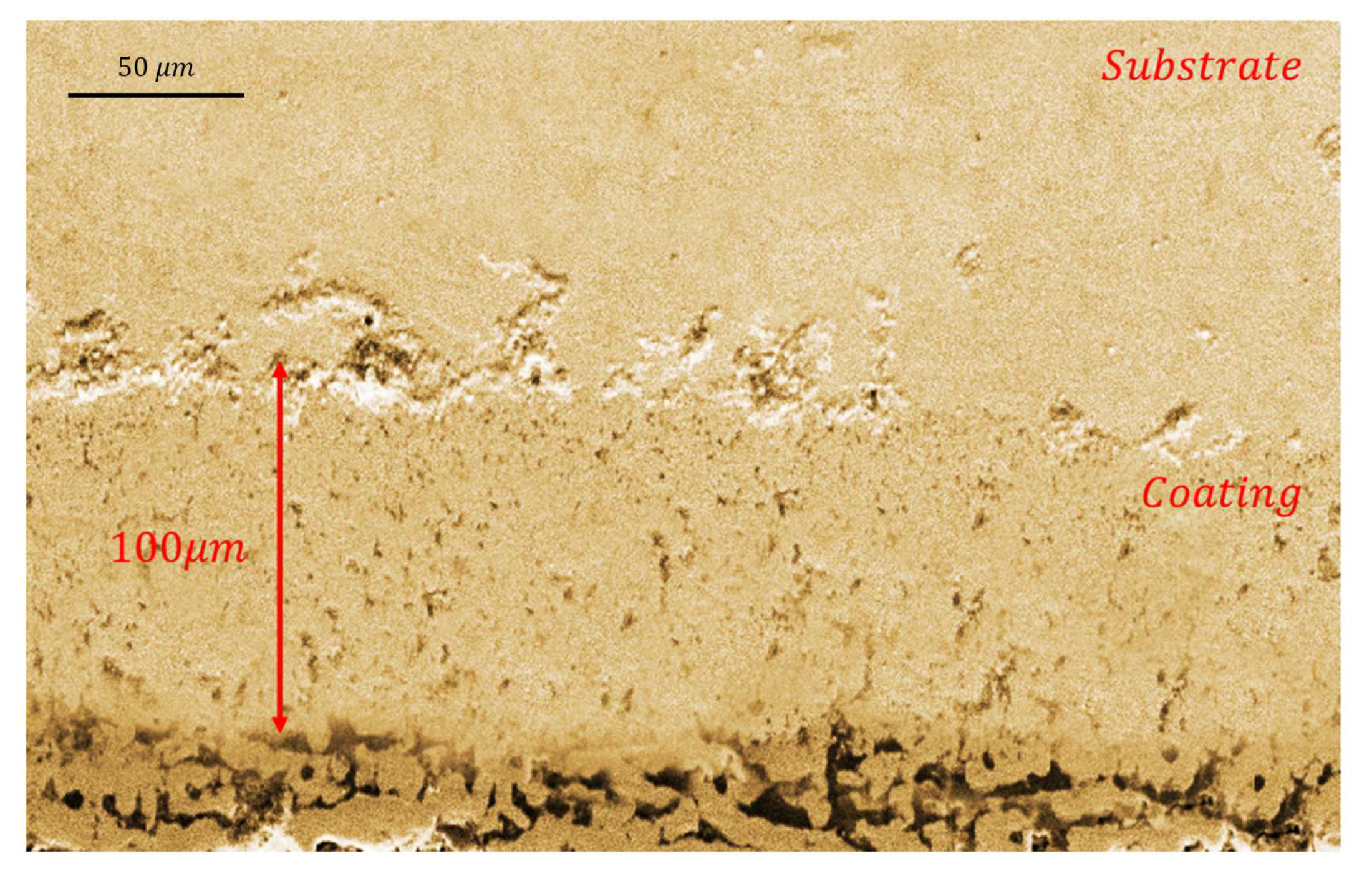 Powders 01 00006 g005