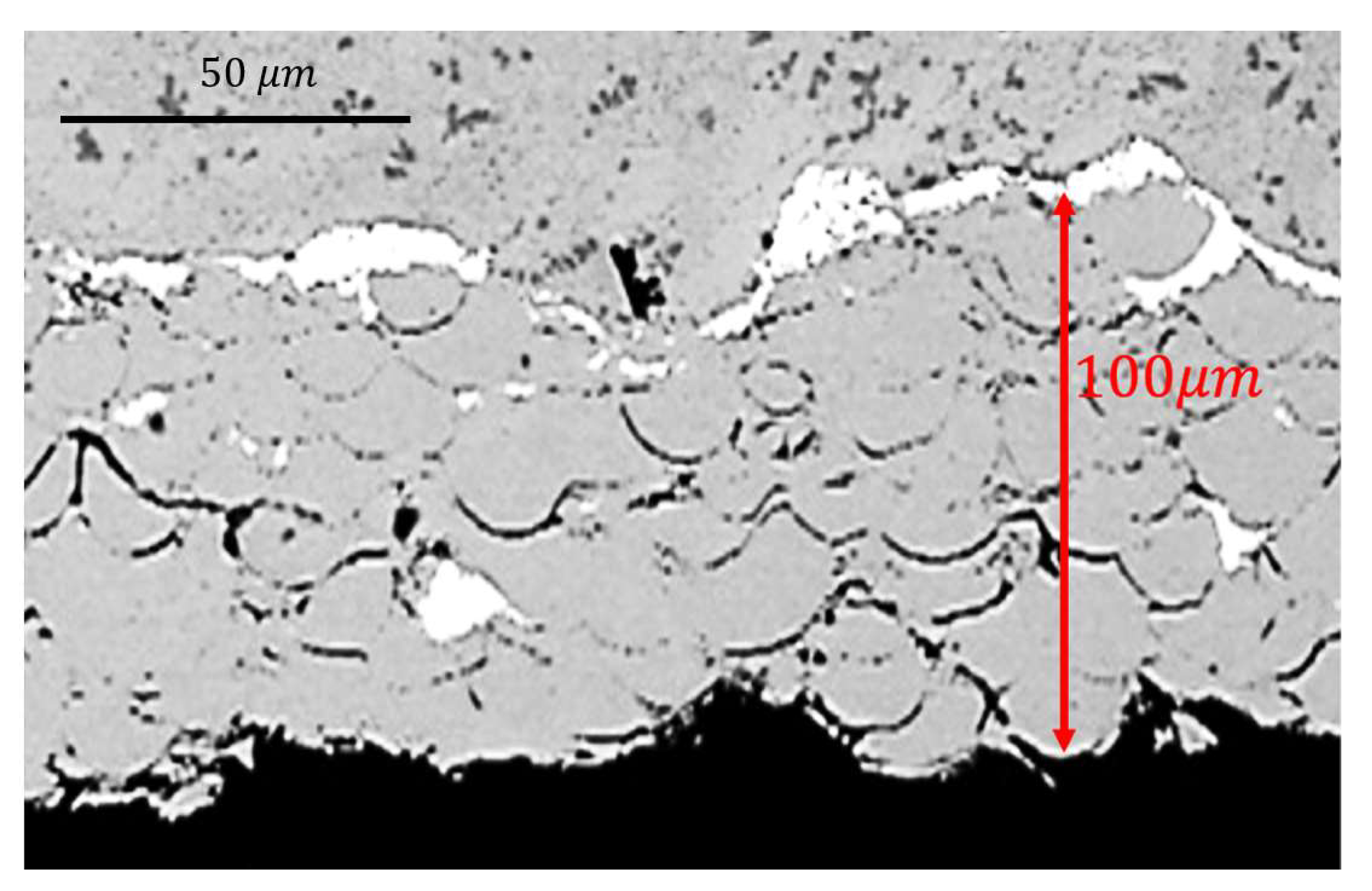 Powders 01 00006 g006