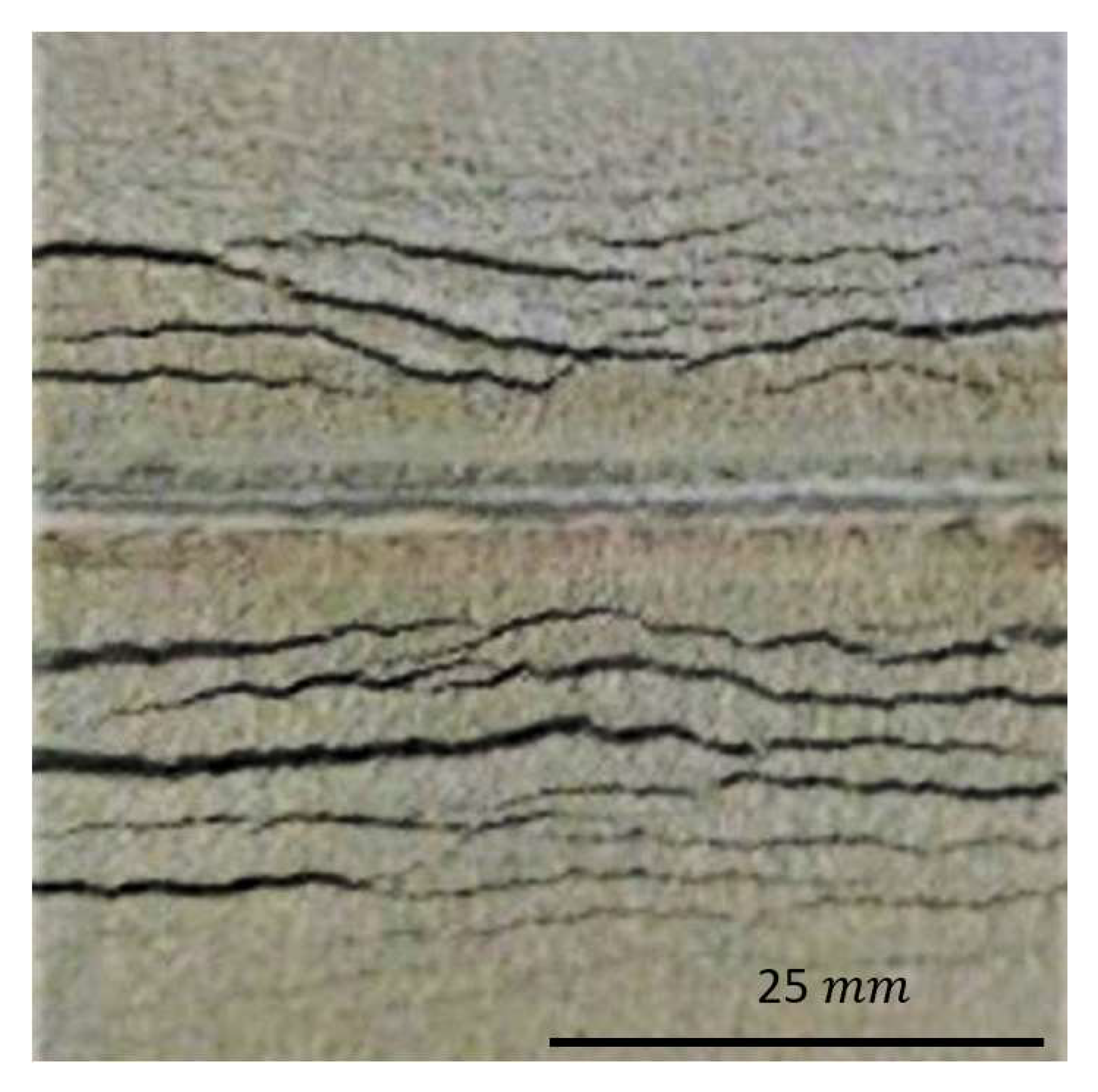 Powders 01 00006 g009