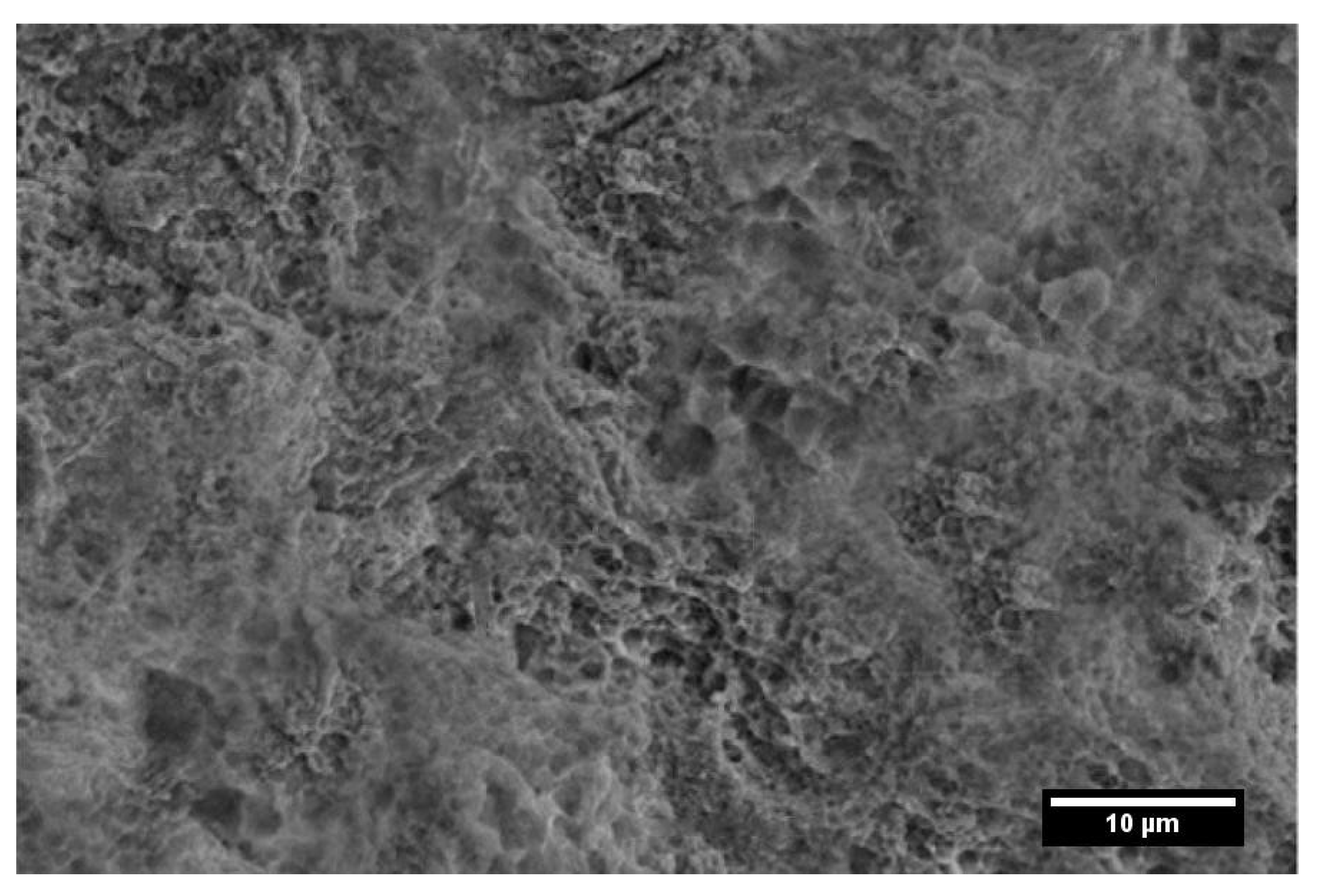 Powders 01 00006 g010a