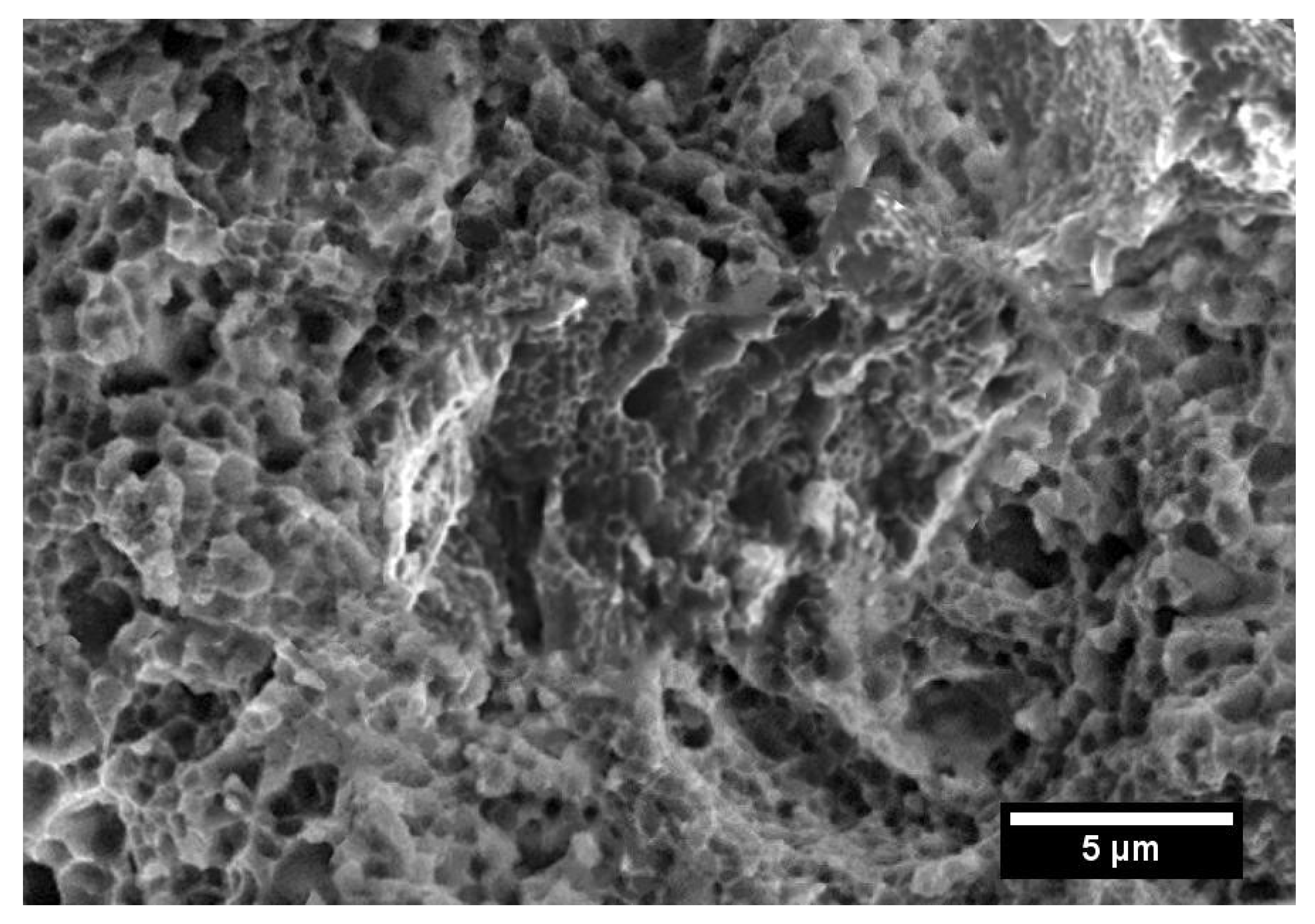 Powders 01 00006 g010b