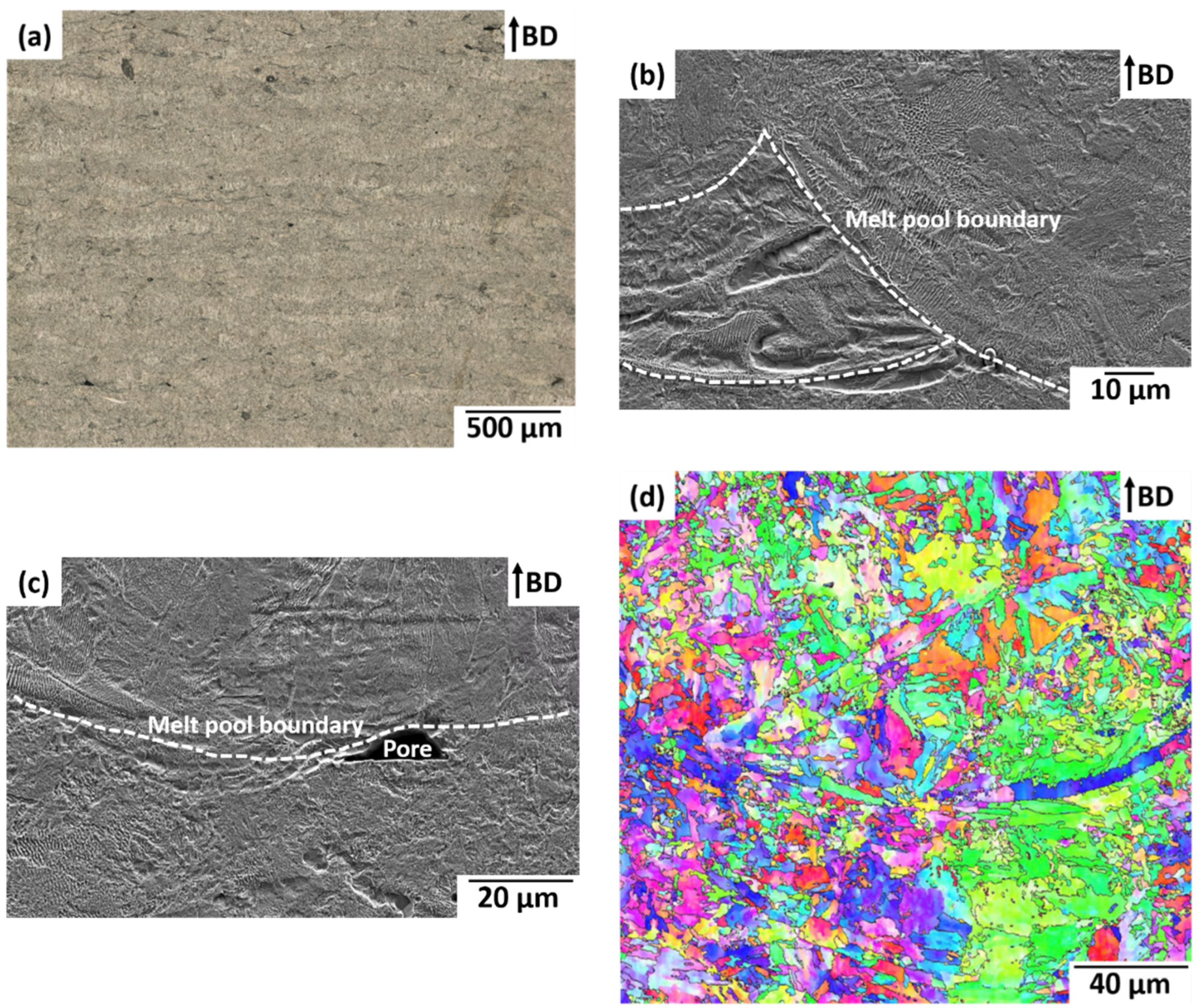 Powders 02 00005 g006