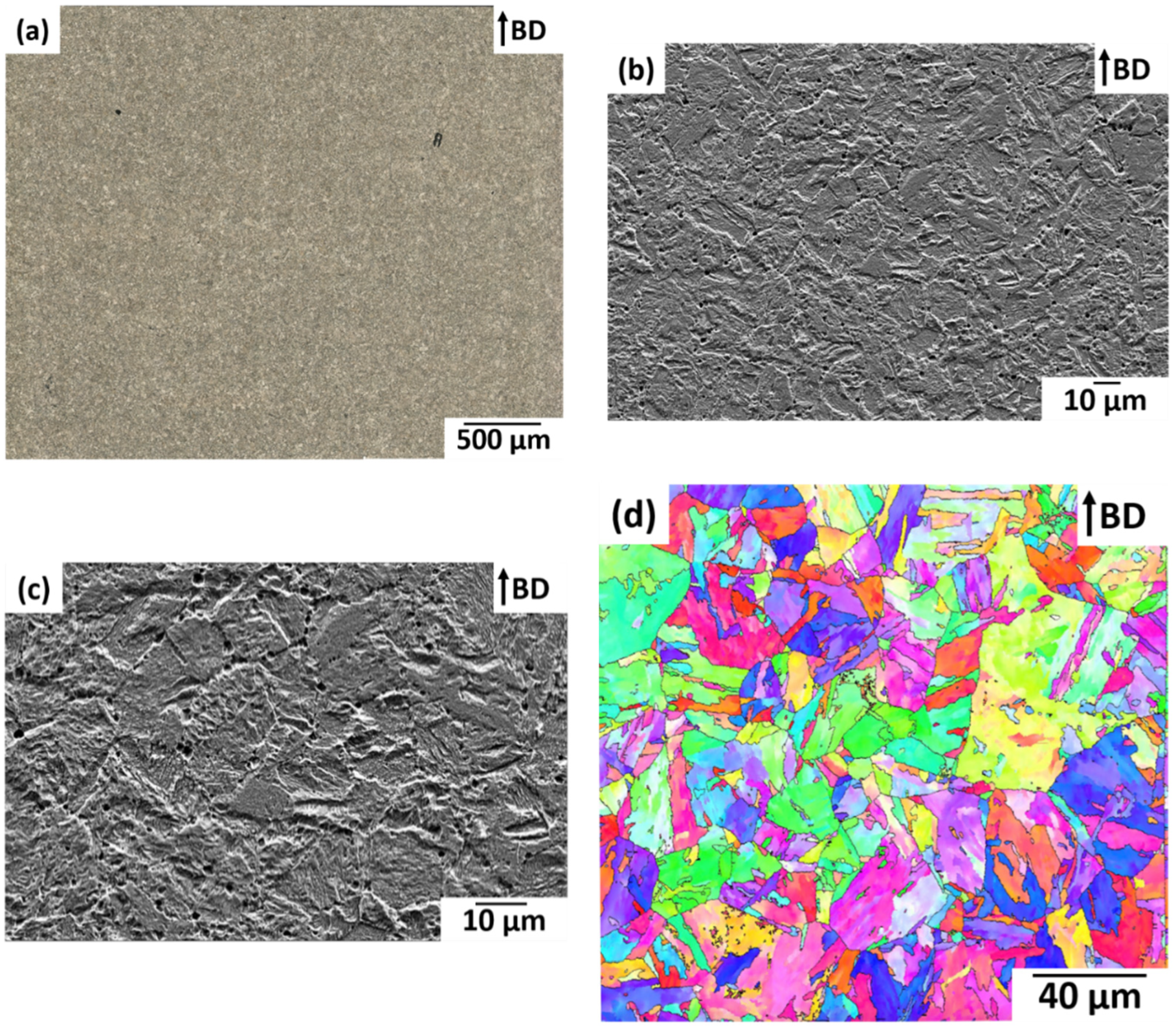 Powders 02 00005 g007