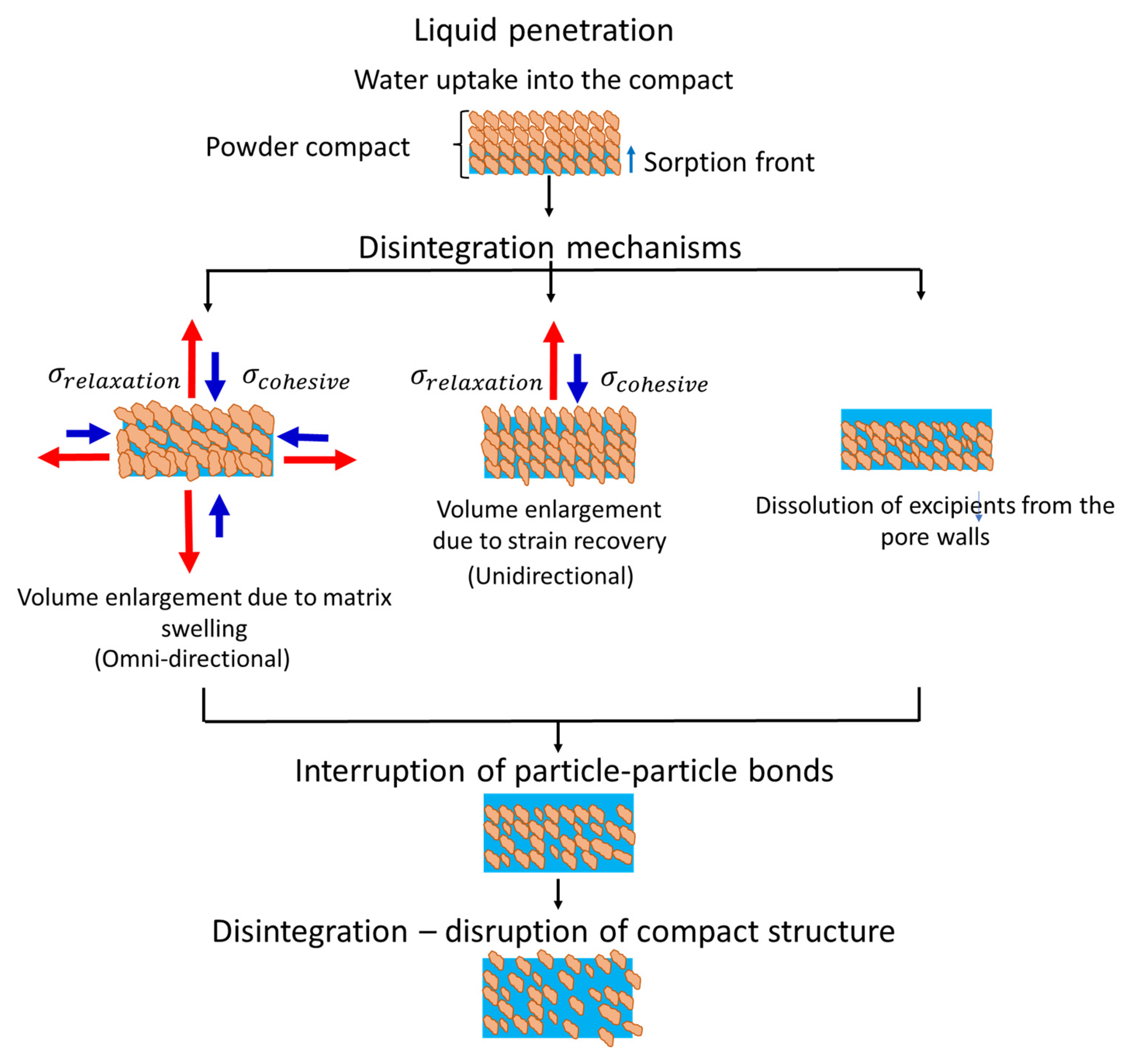 Powders 02 00008 g002