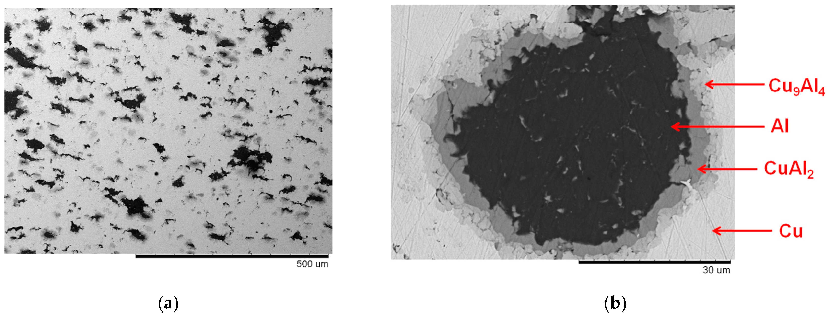 Powders 02 00032 g003a