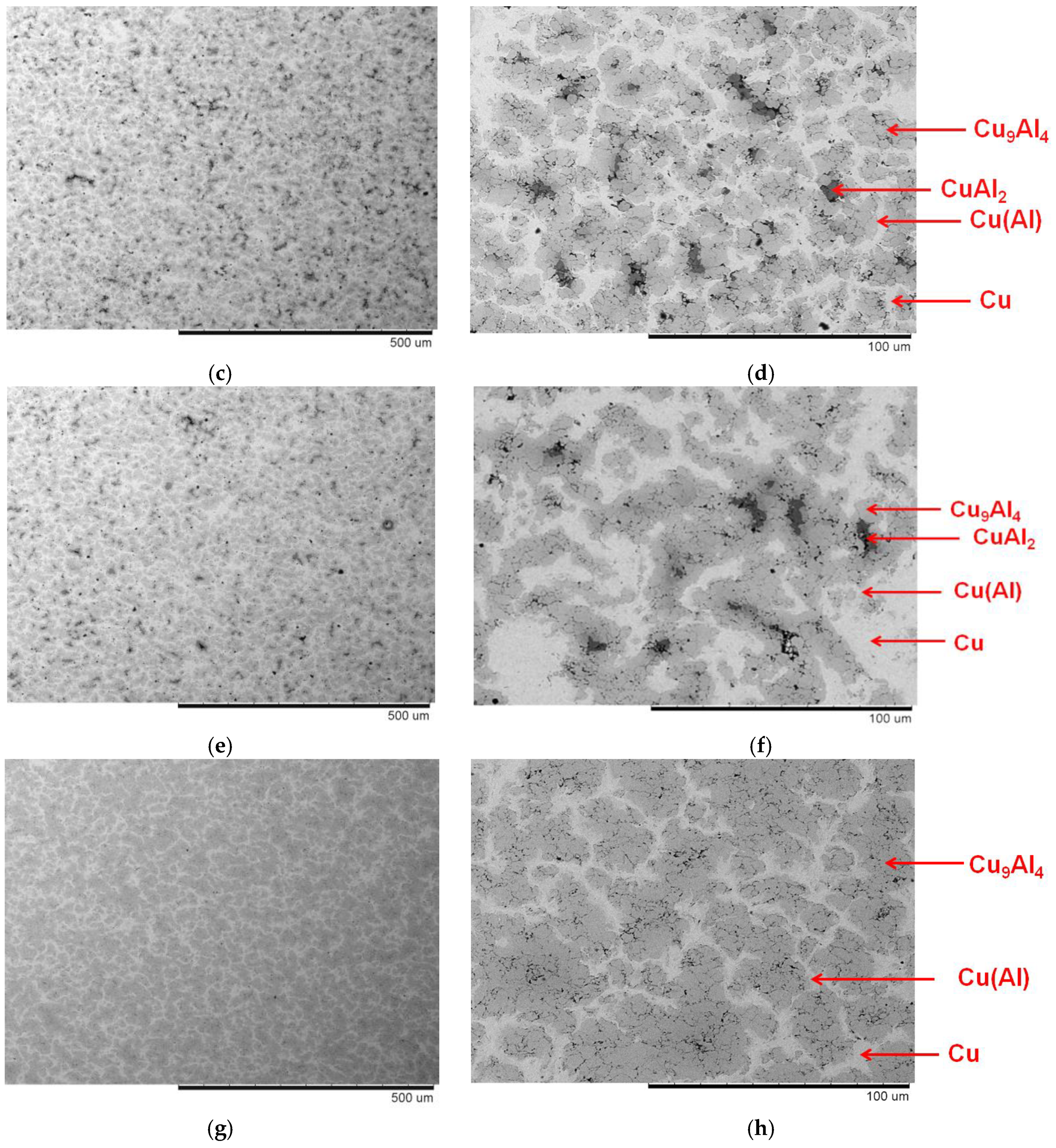 Powders 02 00032 g003b