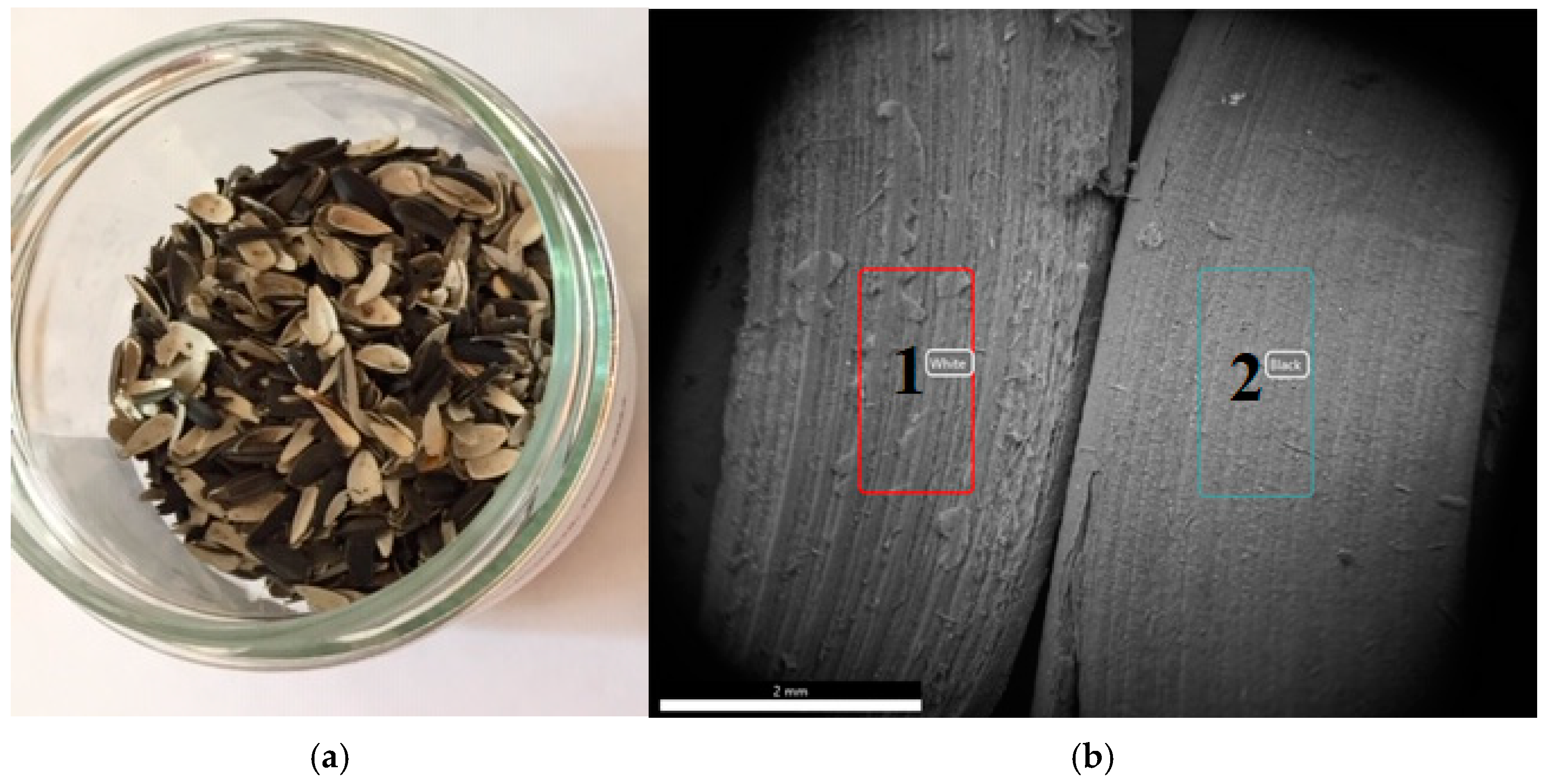 Powders 02 00039 g001