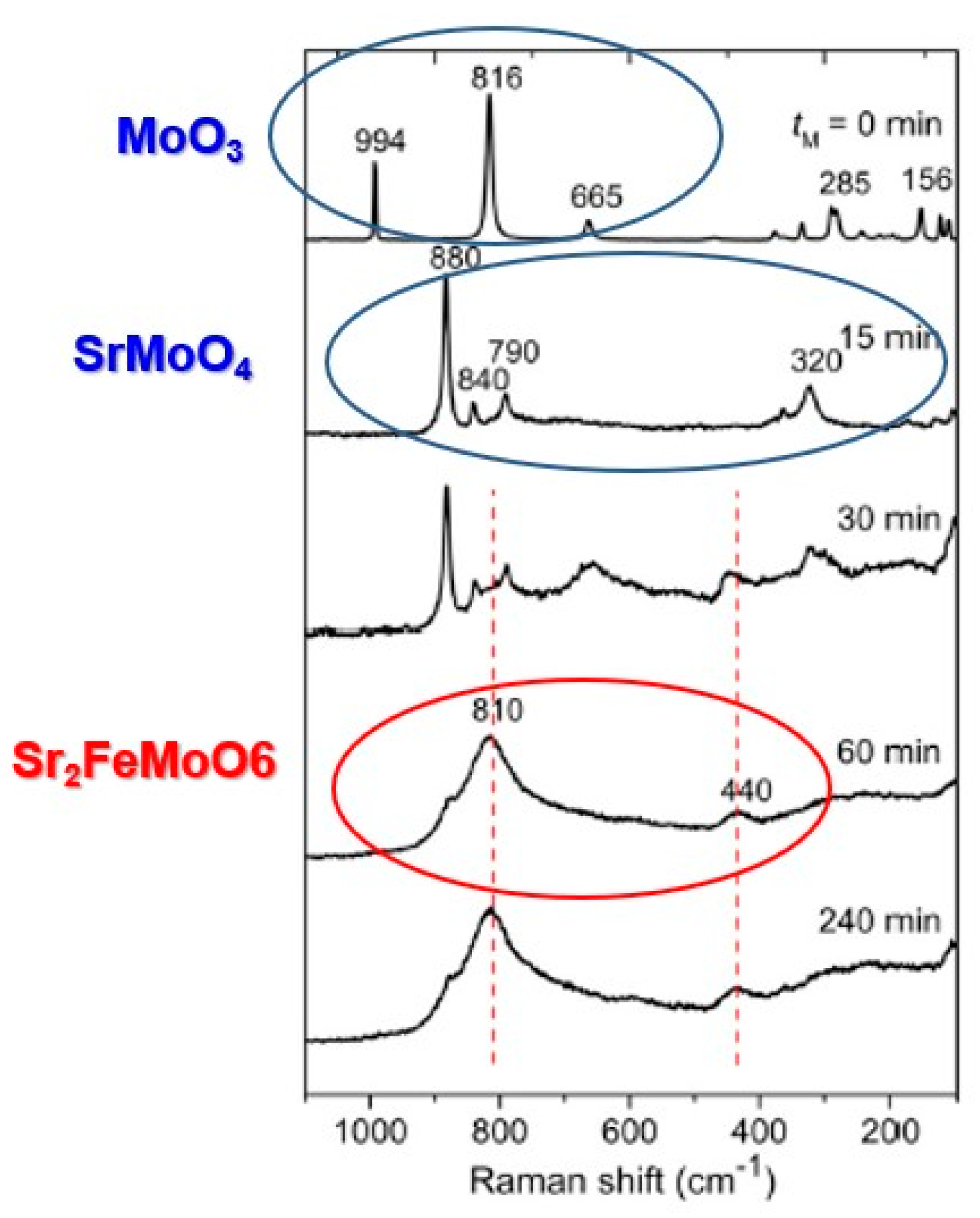 Powders 02 00041 g005