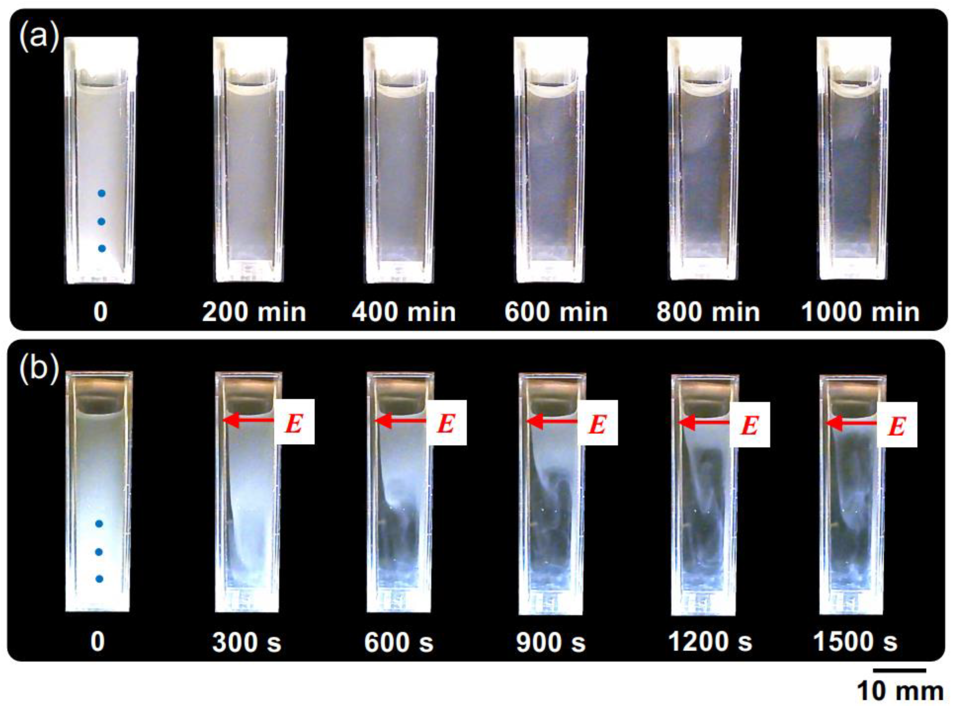 Powders 02 00046 g004