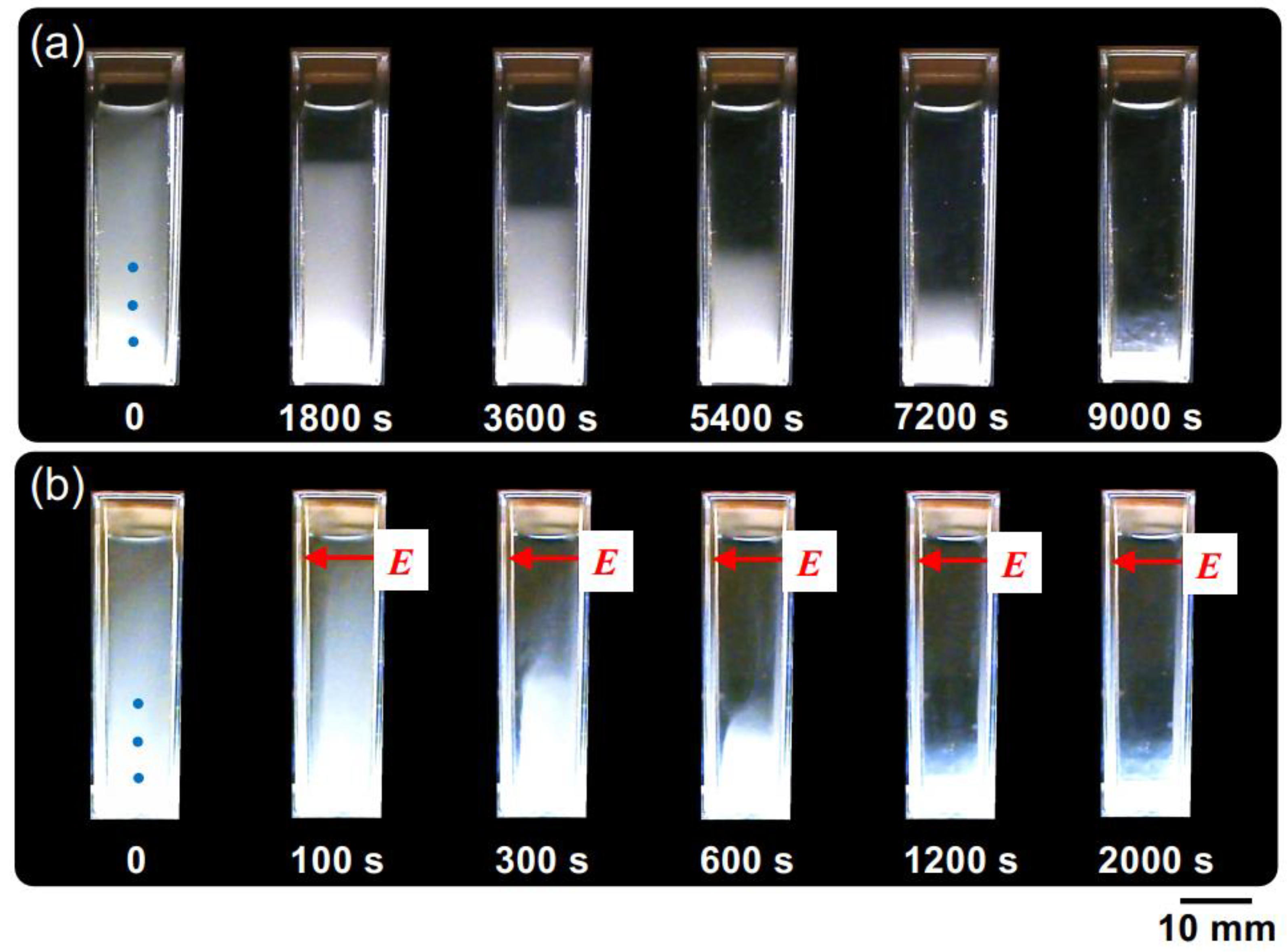 Powders 02 00046 g006