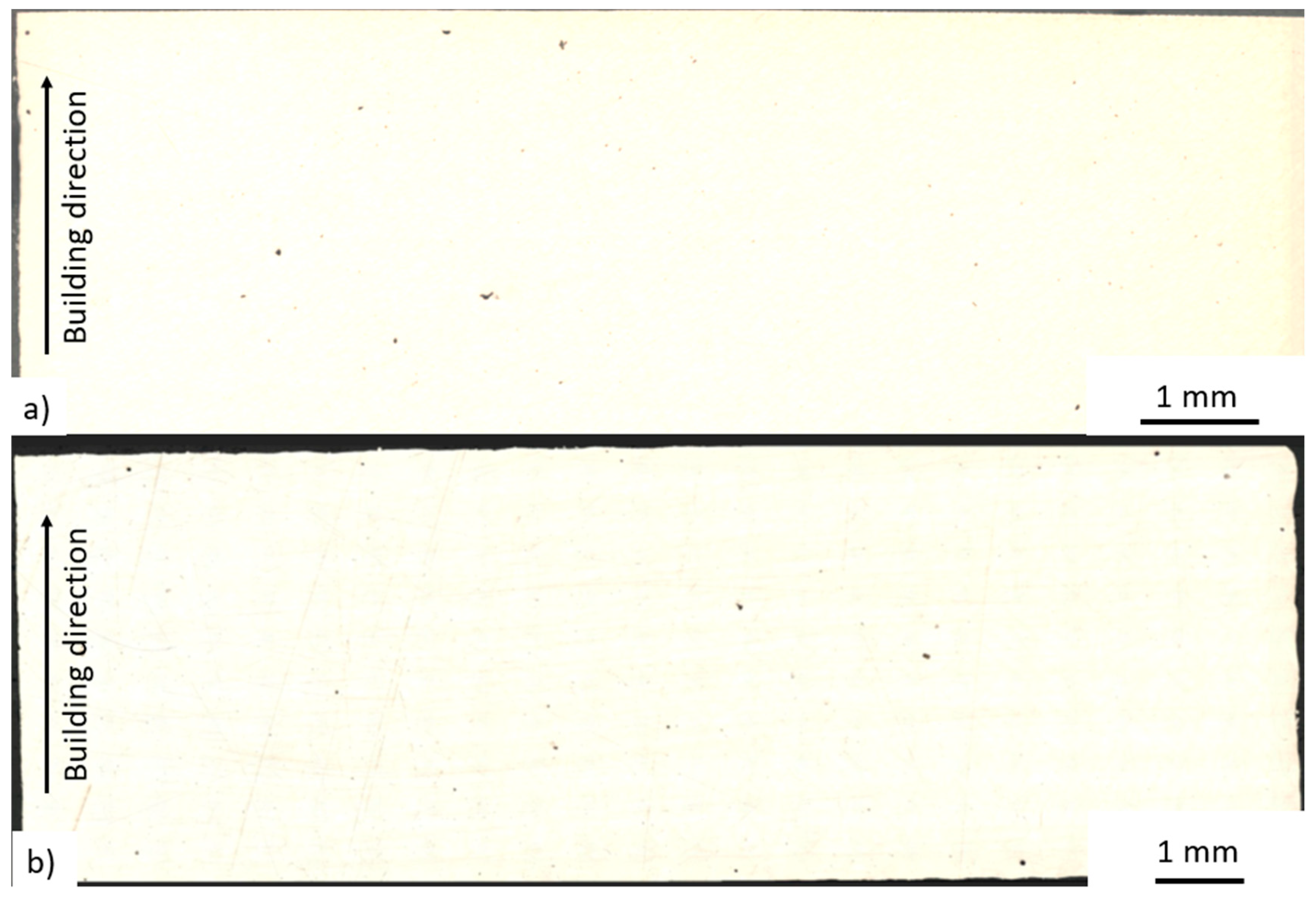 Powders 03 00010 g005