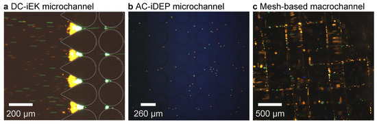 Powders 03 00030 g0a3