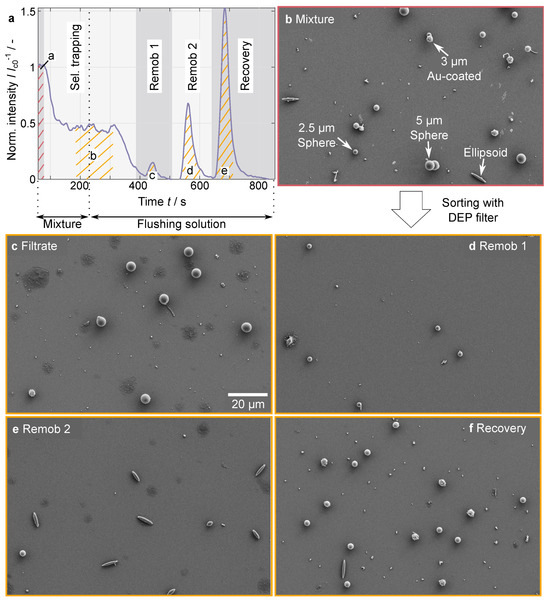 Powders 03 00030 g0a4