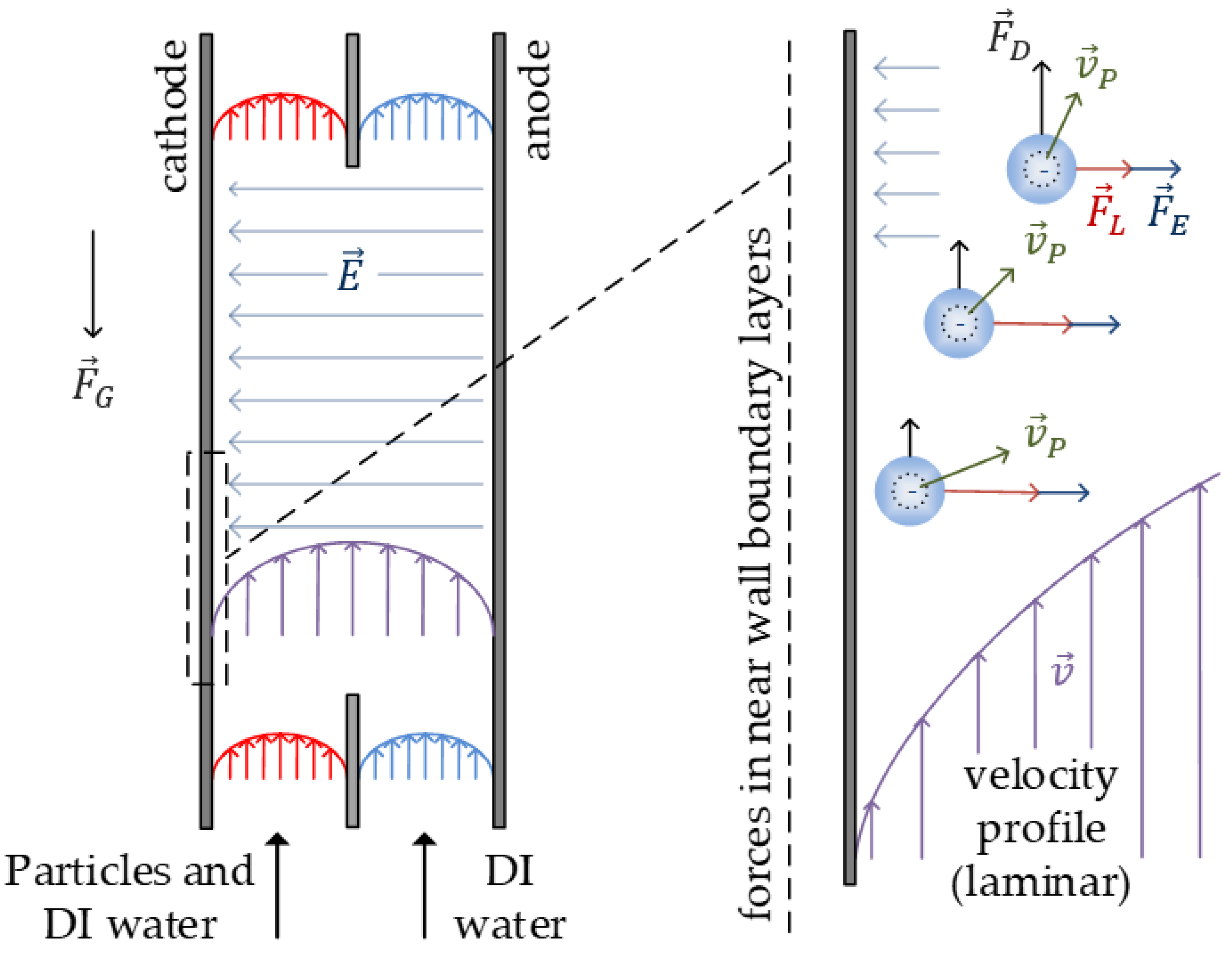Powders 04 00006 g006