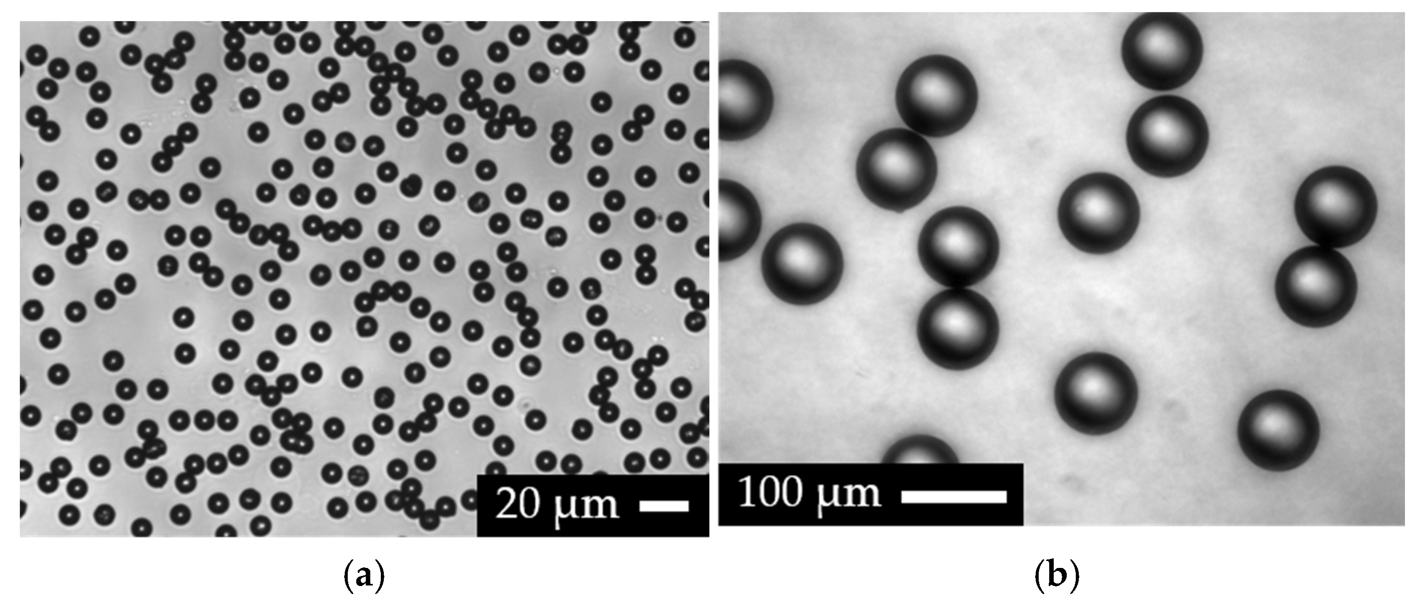 Powders 04 00006 g010