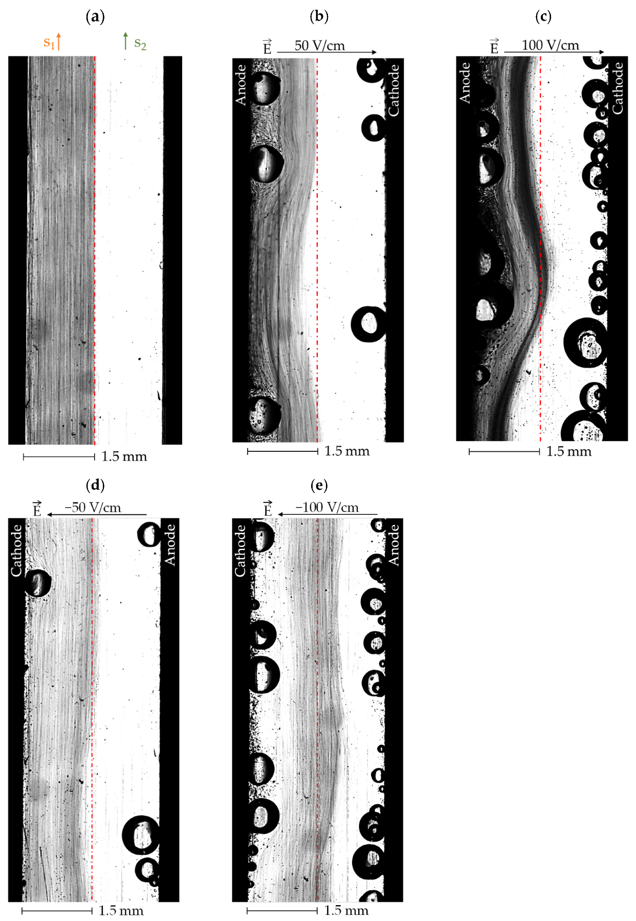 Powders 04 00006 g017