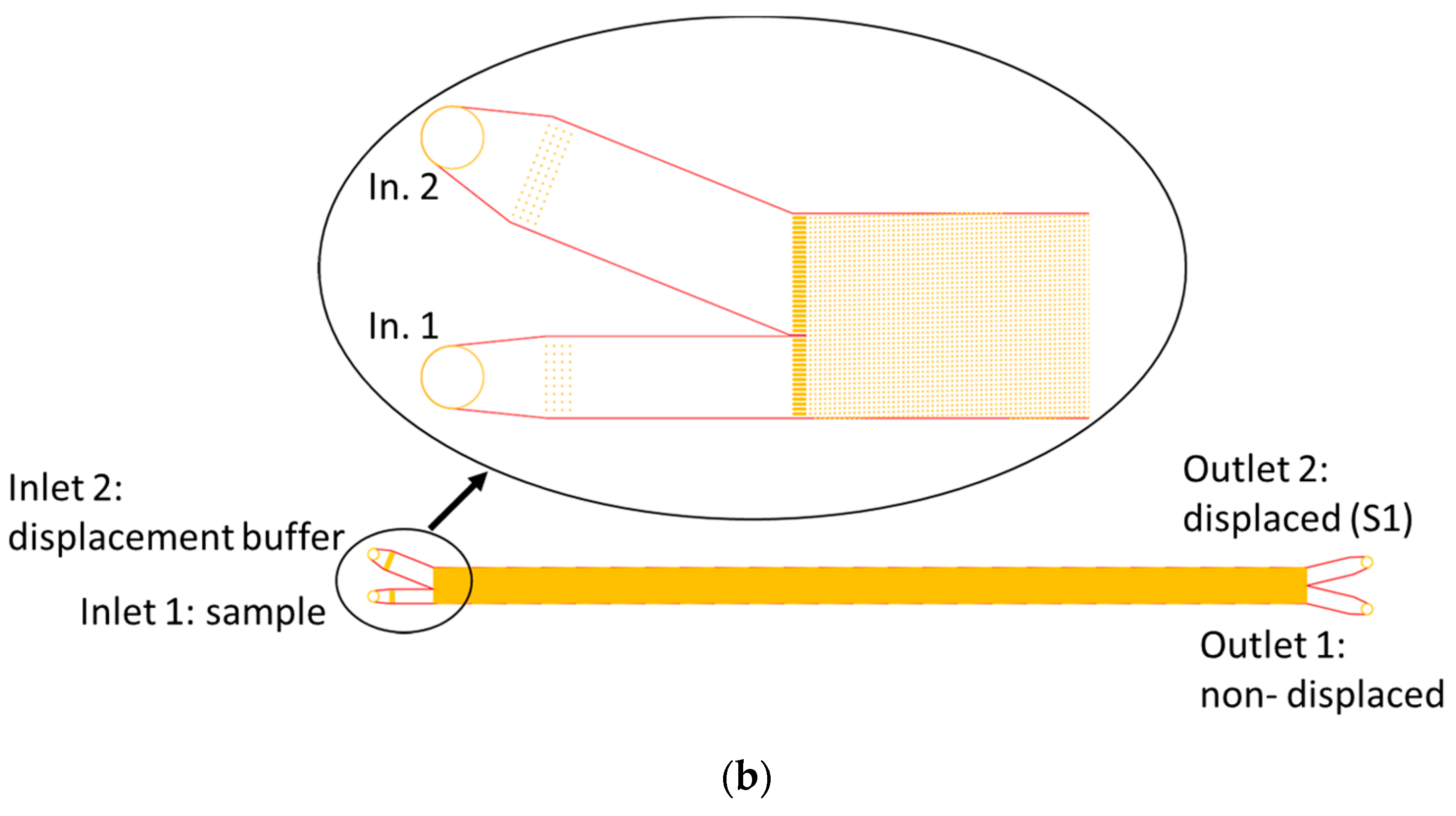 Powders 04 00013 g002b