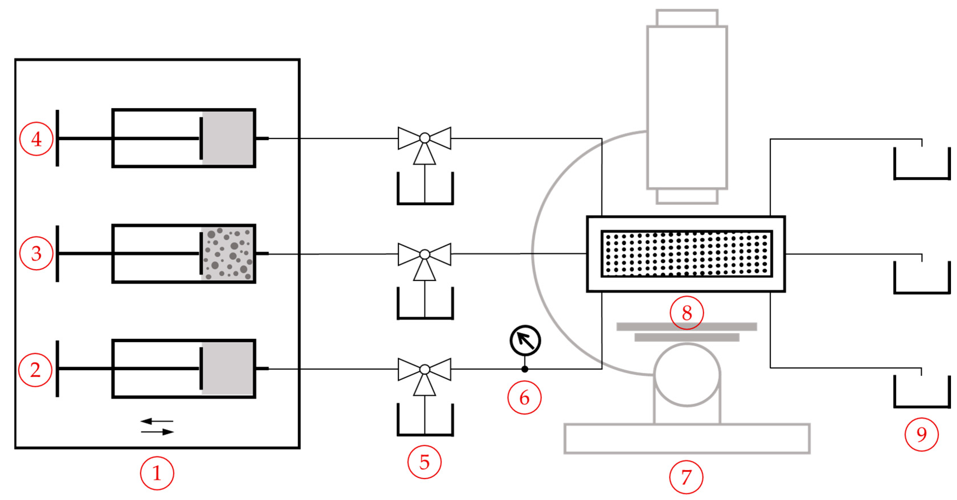 Powders 04 00013 g003