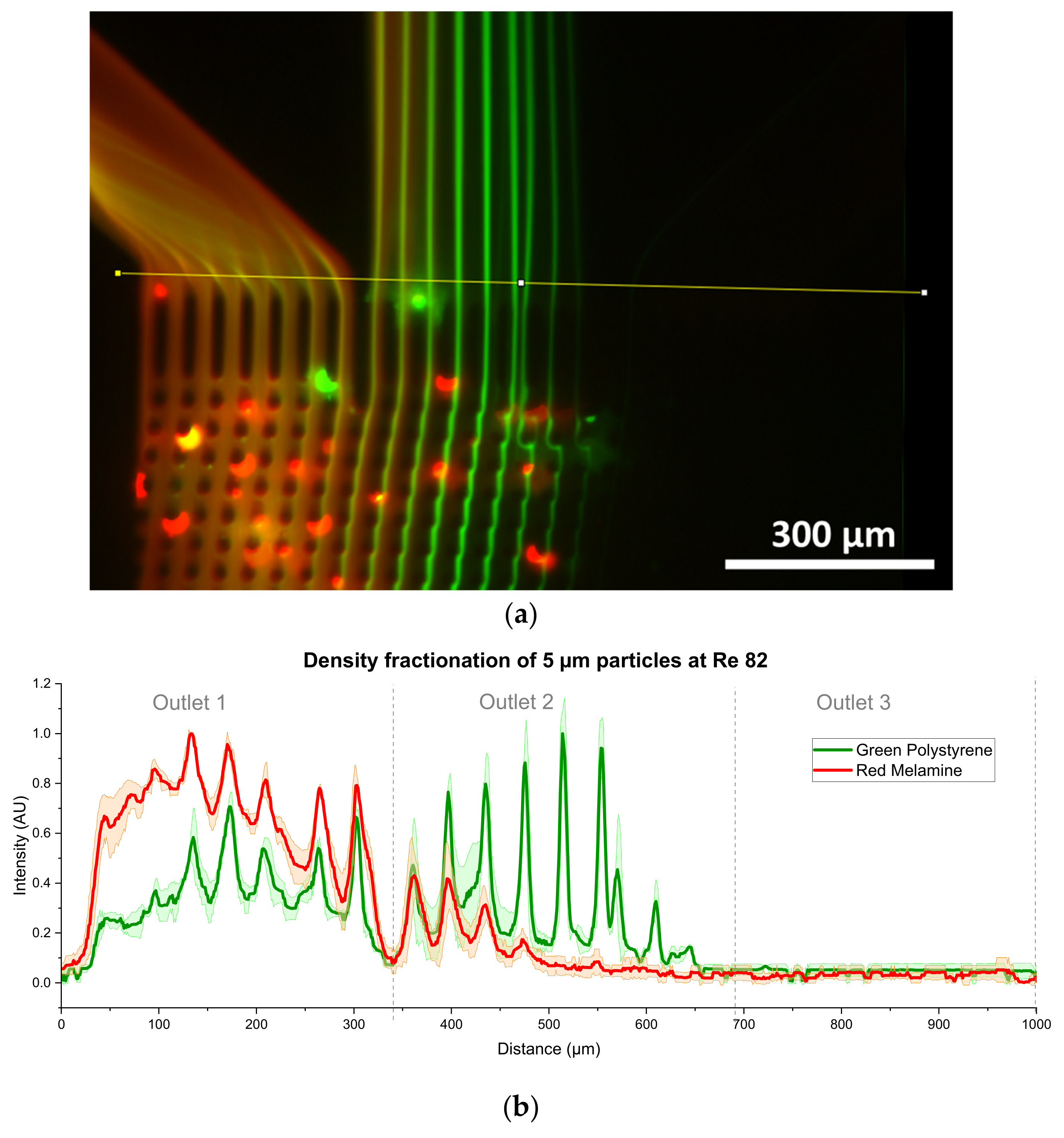 Powders 04 00013 g014