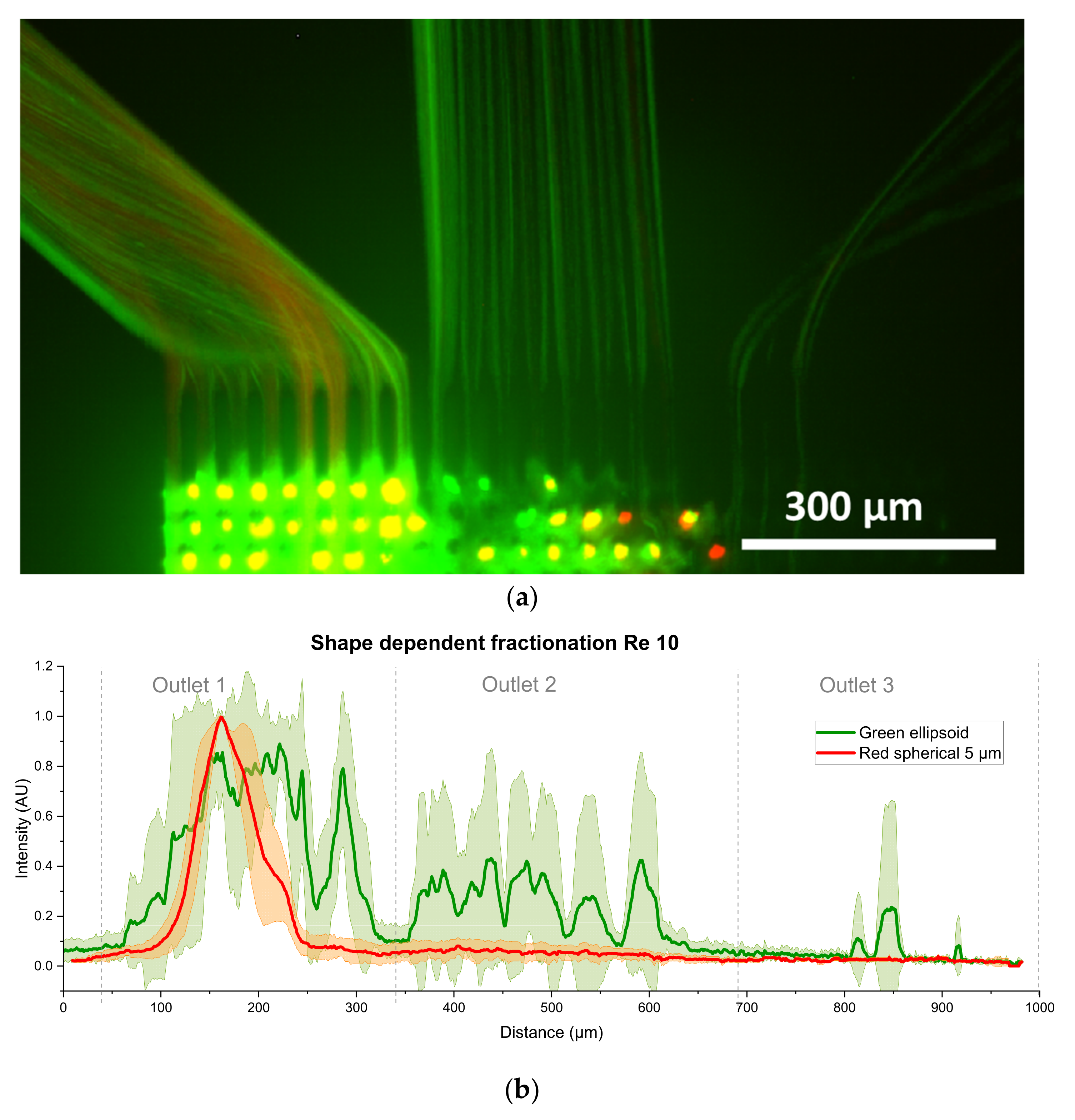 Powders 04 00013 g016a