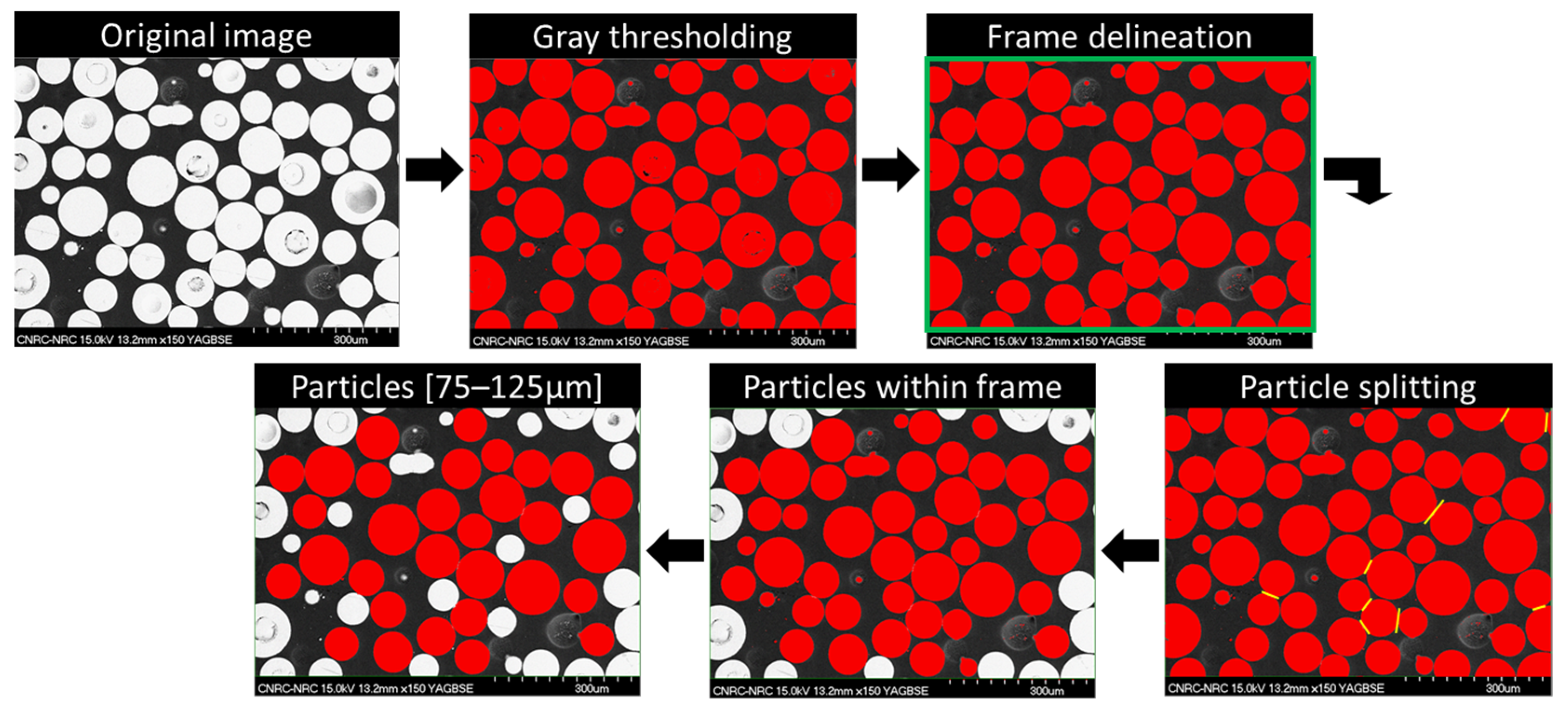 Powders 04 00015 g004