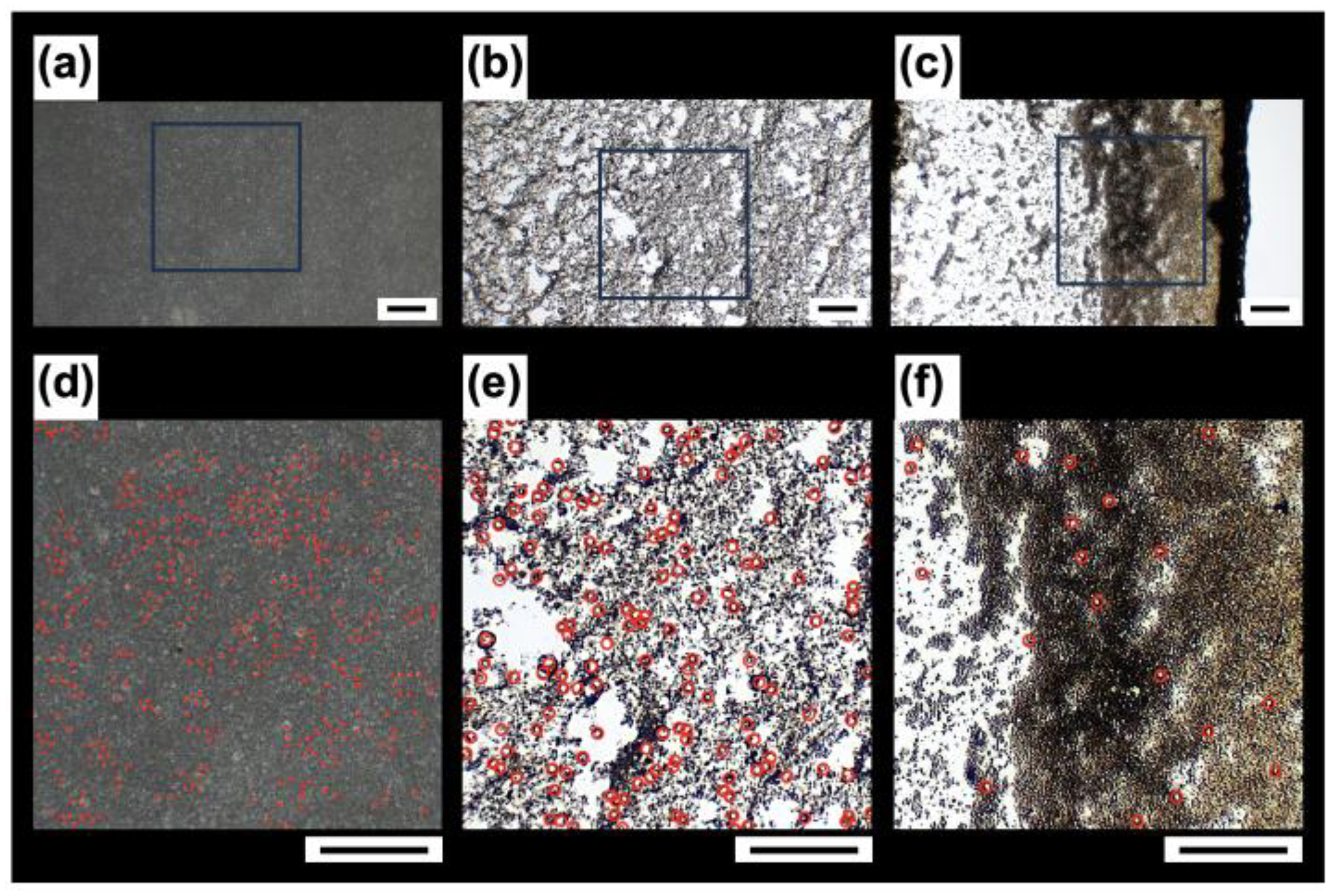 Powders 04 00017 g009 Powders 04 00017 g009
