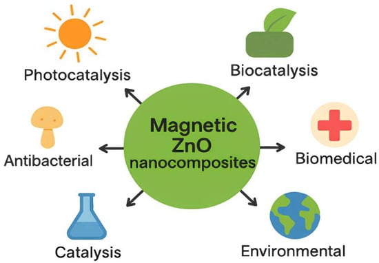 Applications of magnetic zinc oxide (ZnO) nanocomposites, including photocatalysis, biocatalysis, biomedical, environmental, catalysis, and antibacterial activities, highlighting their potential in different scientific and technological fields.