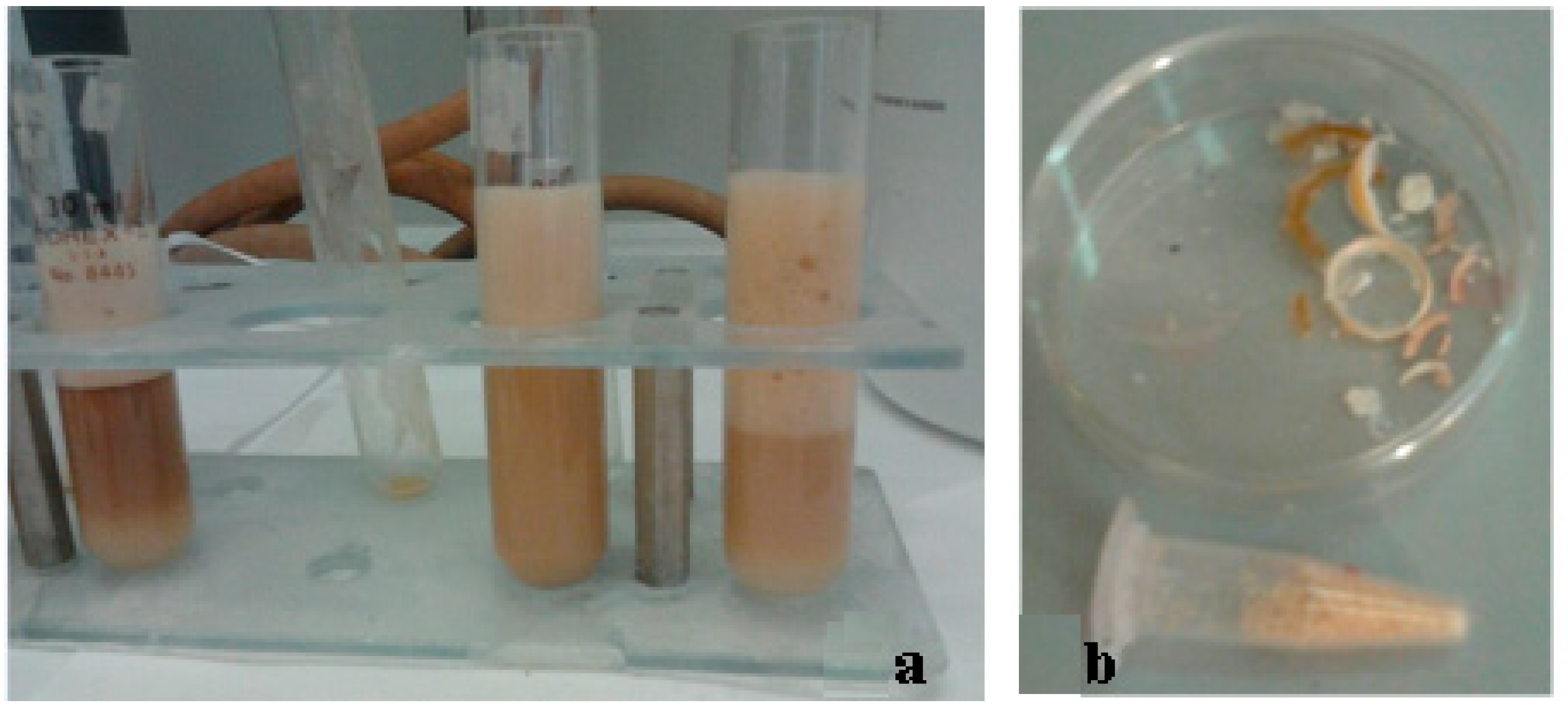 Proceedings 01 00004 g003