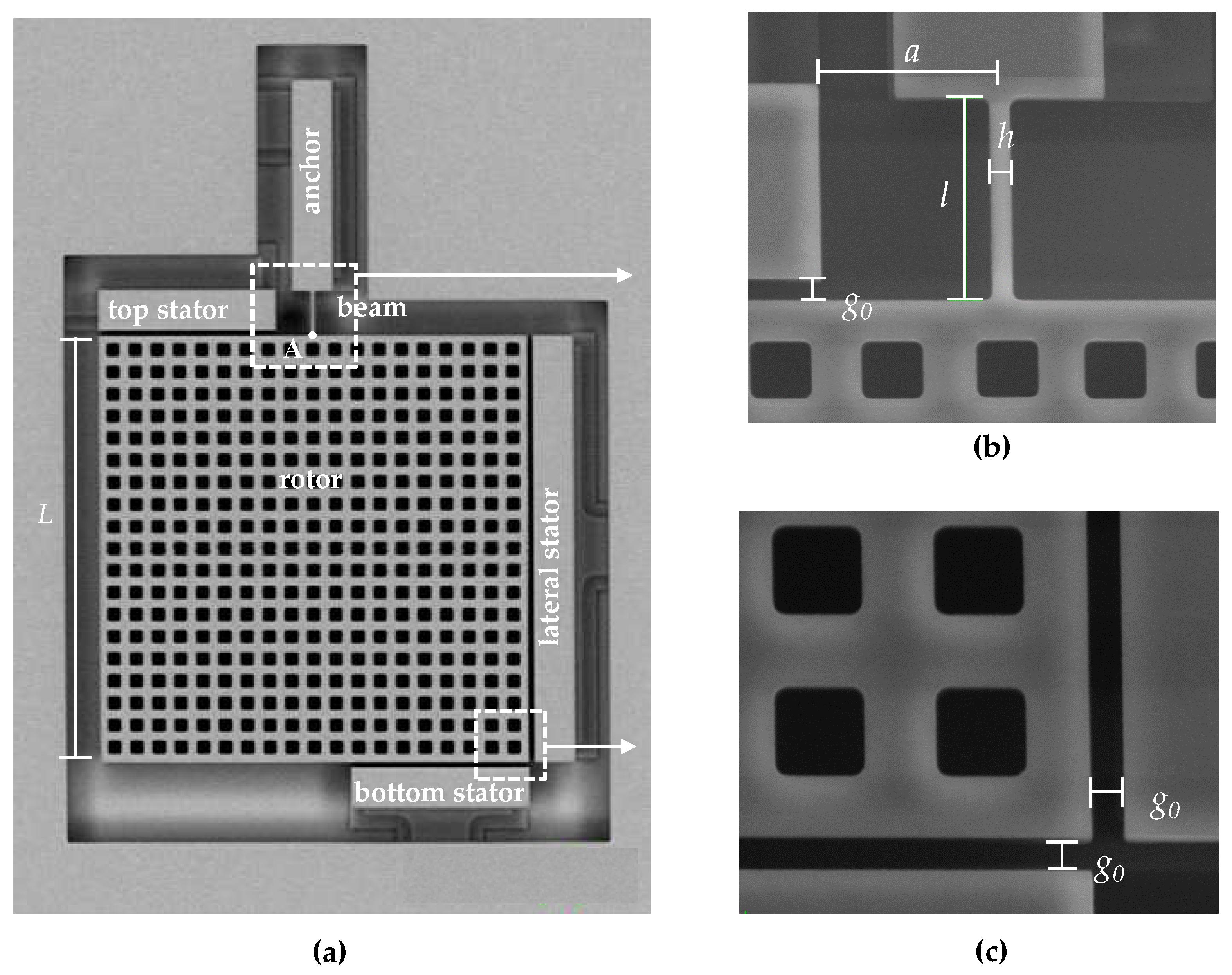 Proceedings 01 00039 g001