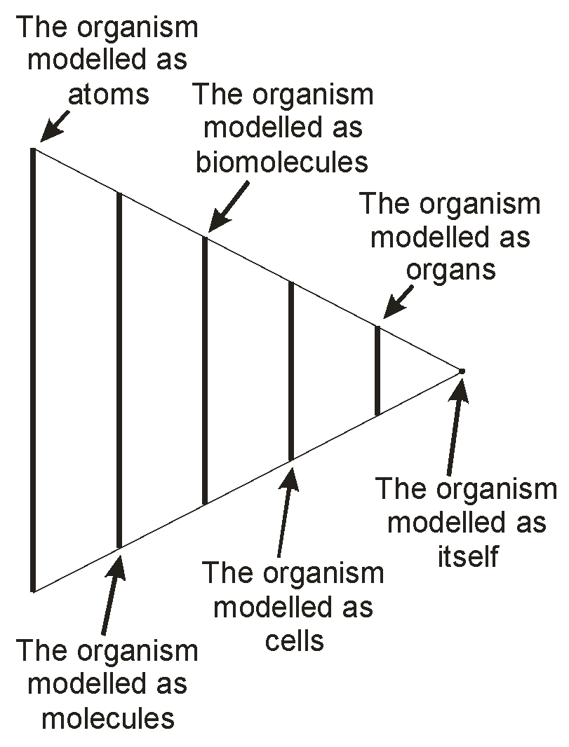 Proceedings 01 00063 g001