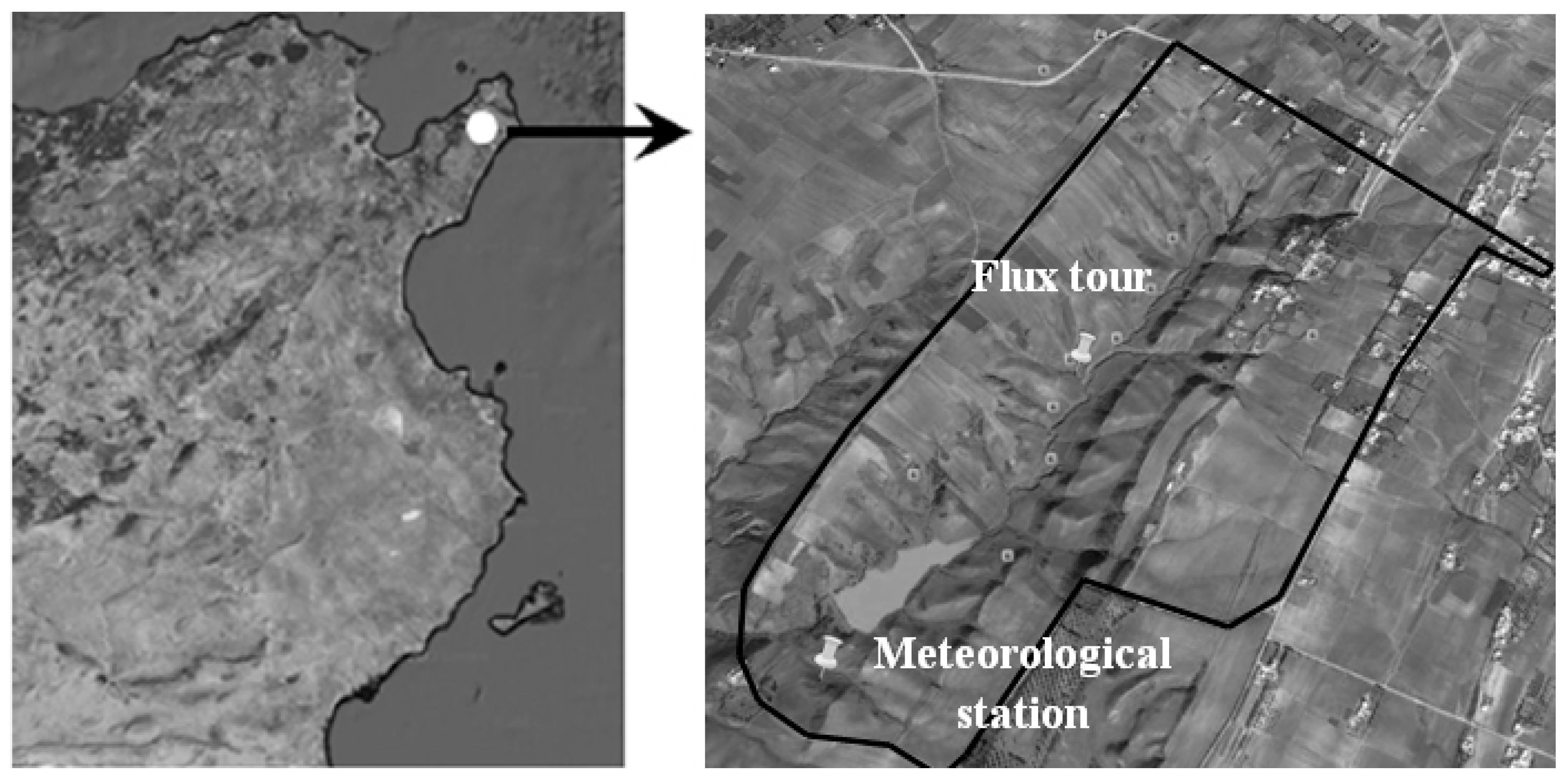 Proceedings 01 00113 g001